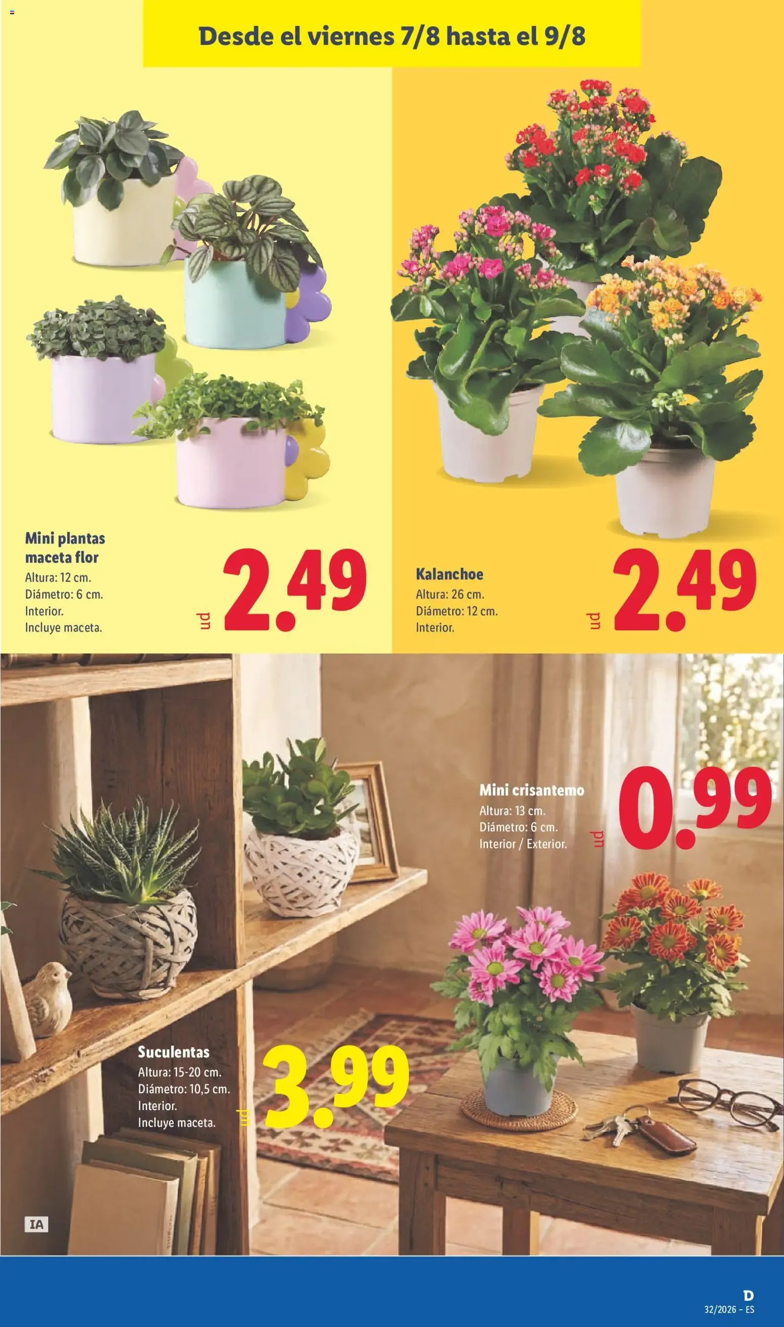 Catálogo de Lidl folleto del 03/08/2026 | Ofertas 3 de agosto al 9 de agosto 2026 - Página 59