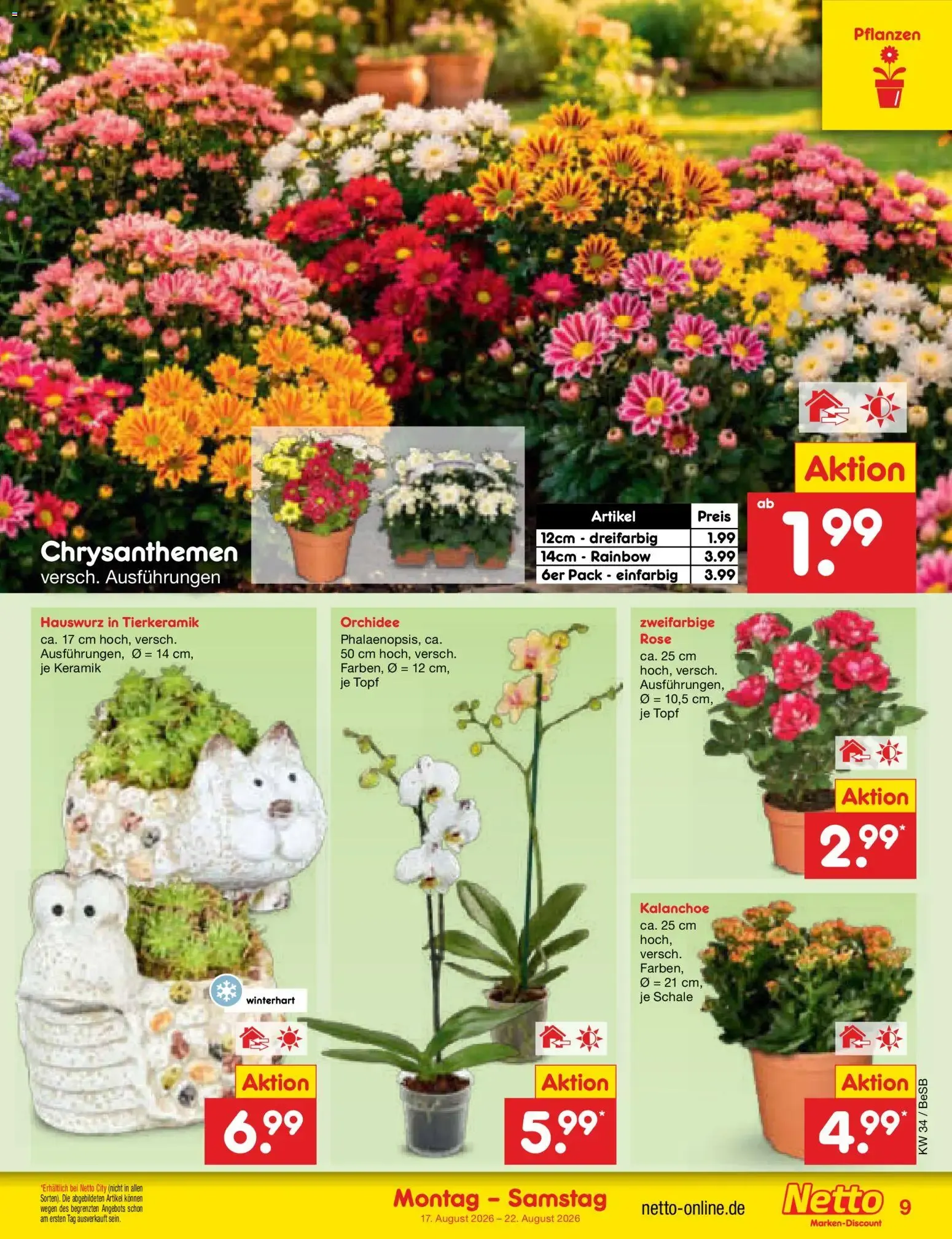 Netto Marken-Discount Prospekt (ab 17.08.2026) » Angebote von 17. August bis 22. August 2026 - Prospekt seite 11
