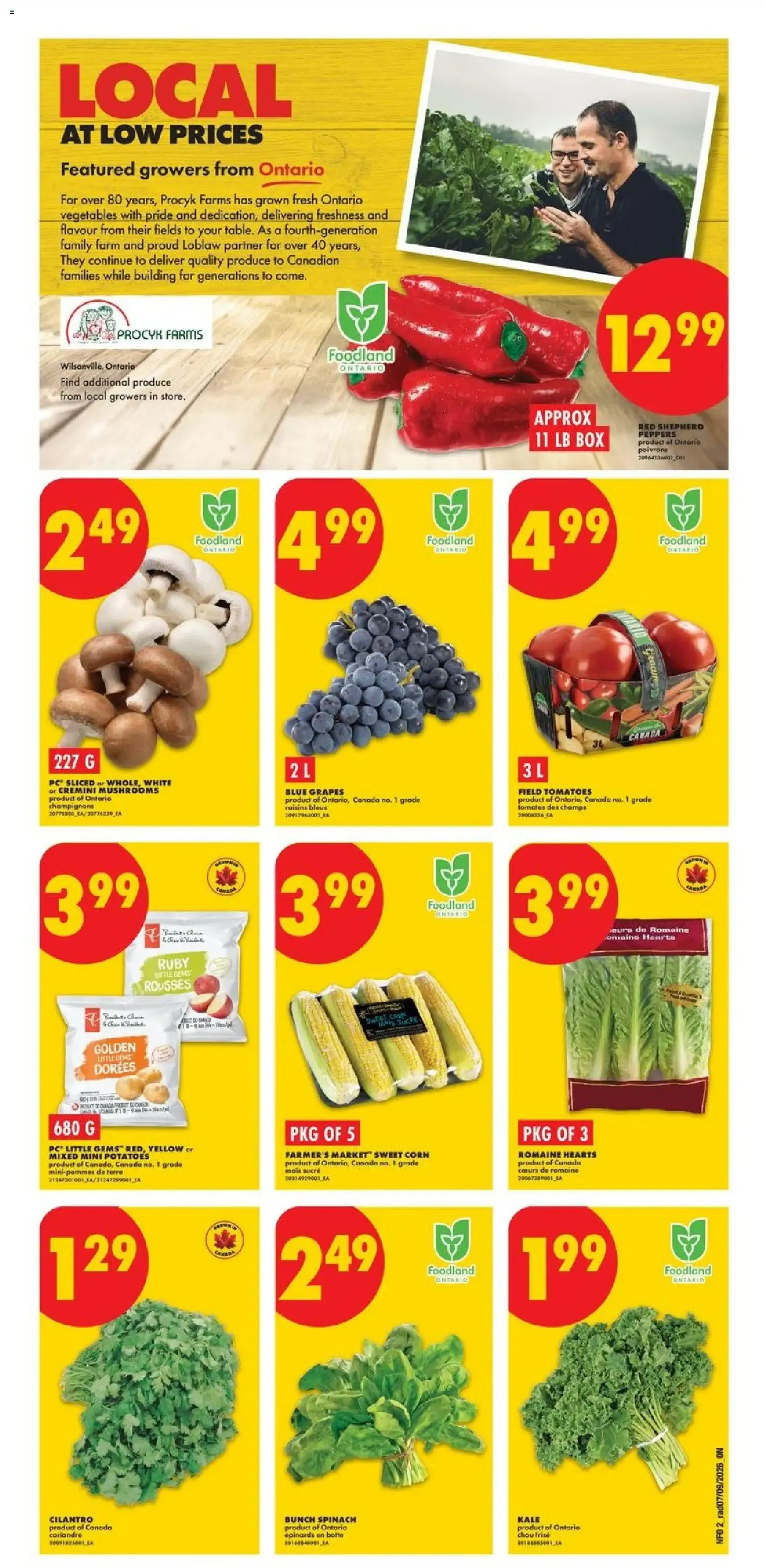 No Frills weekly flyer / circulaire from Sep 10, 2026 > weekly specials & deals from September 10 to September 16 2026 - flyer page 2