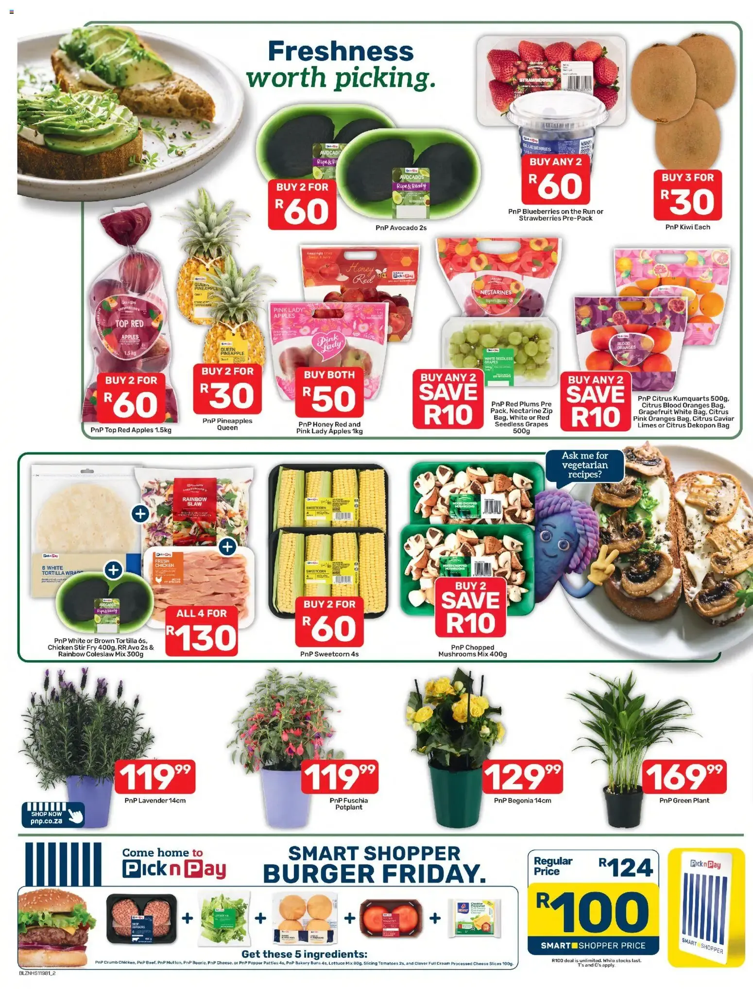 Pick n Pay from 31 August to 6 September 2026 - Catalogue Page 2
