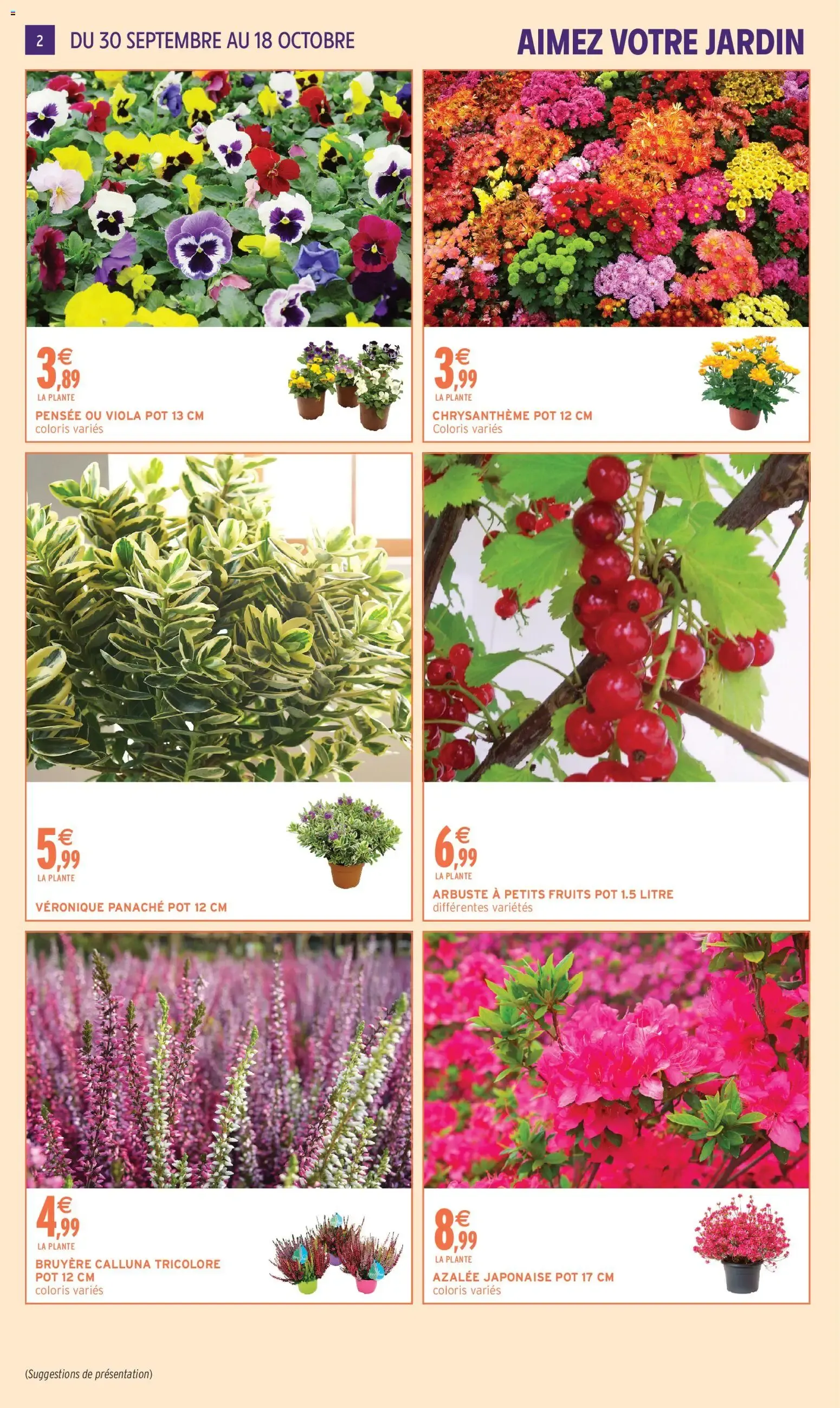 Intermarché - Aimez Votre Jardin du 29 septembre au 18 octobre 2026 - Catalogue page 2