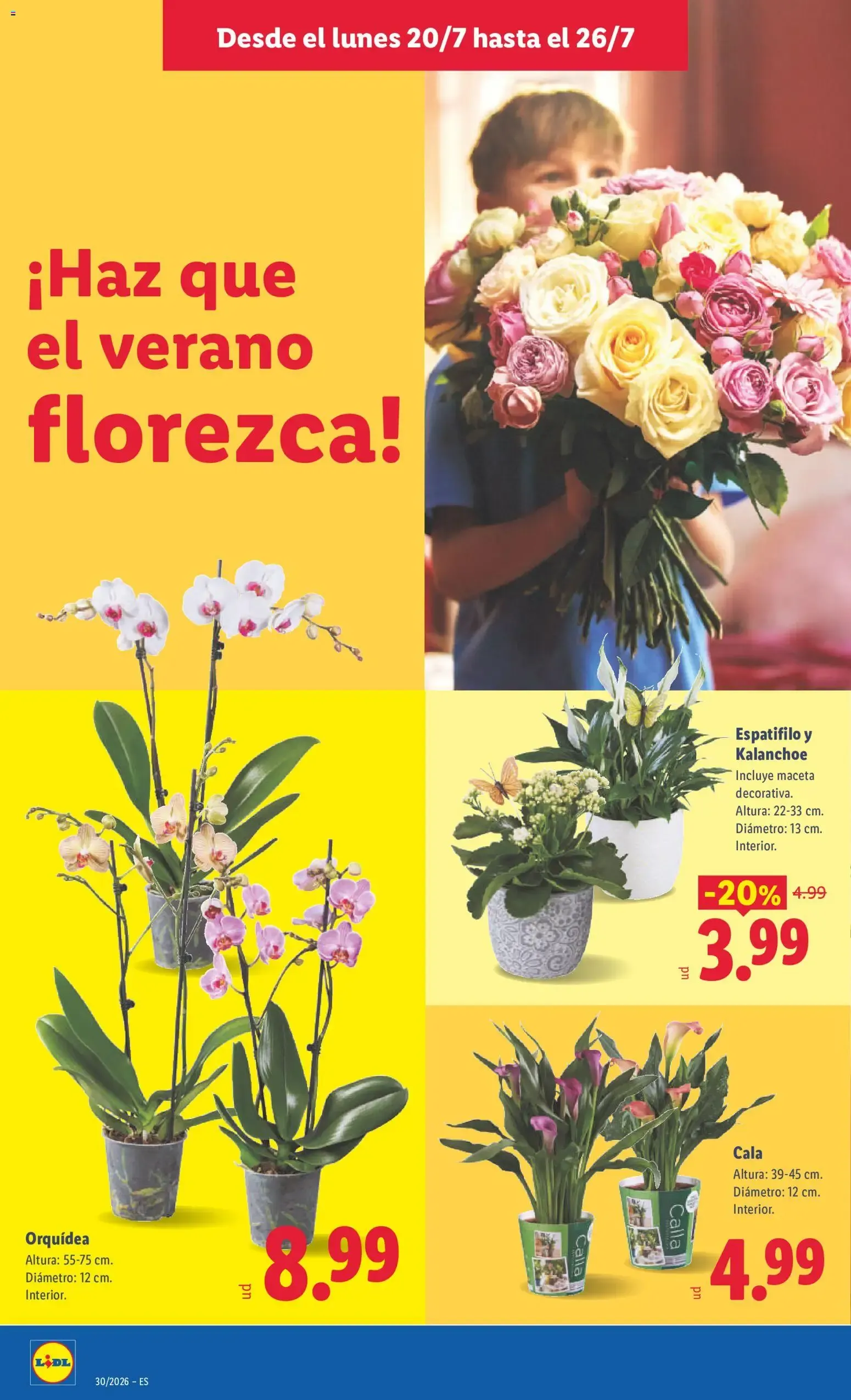 Catálogo de Lidl folleto del 20/07/2026 | Ofertas 20 de julio al 26 de julio 2026 - Página 48