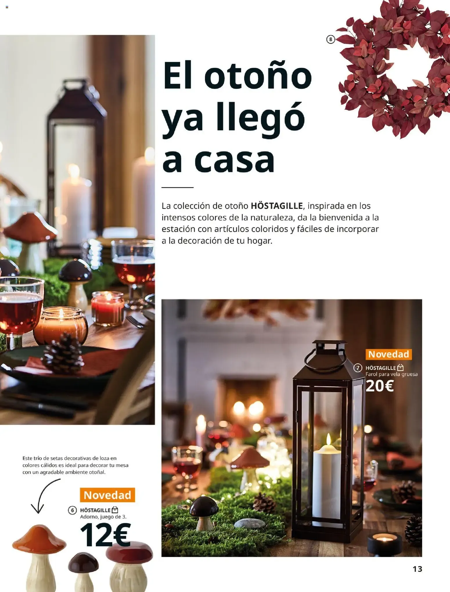 Catálogo de Aires de otoño y Halloween 25 de agosto al 31 de enero 2027 - Página 13