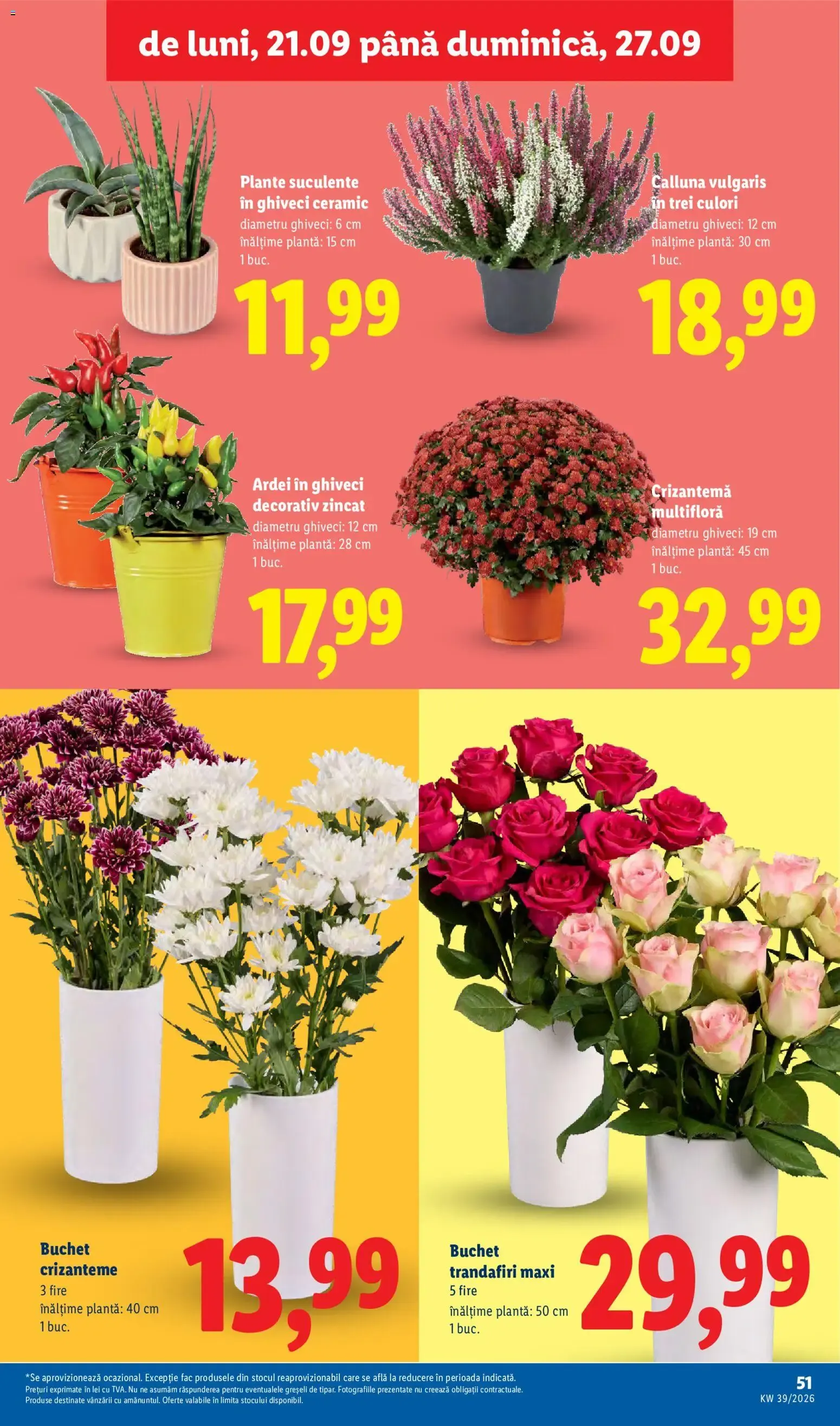 Catalog Catalog LIDL 21.09.2026 - Oferta și Revista online de la 21 septembrie până la 27 septembrie 2026 - Revista Pagina 51