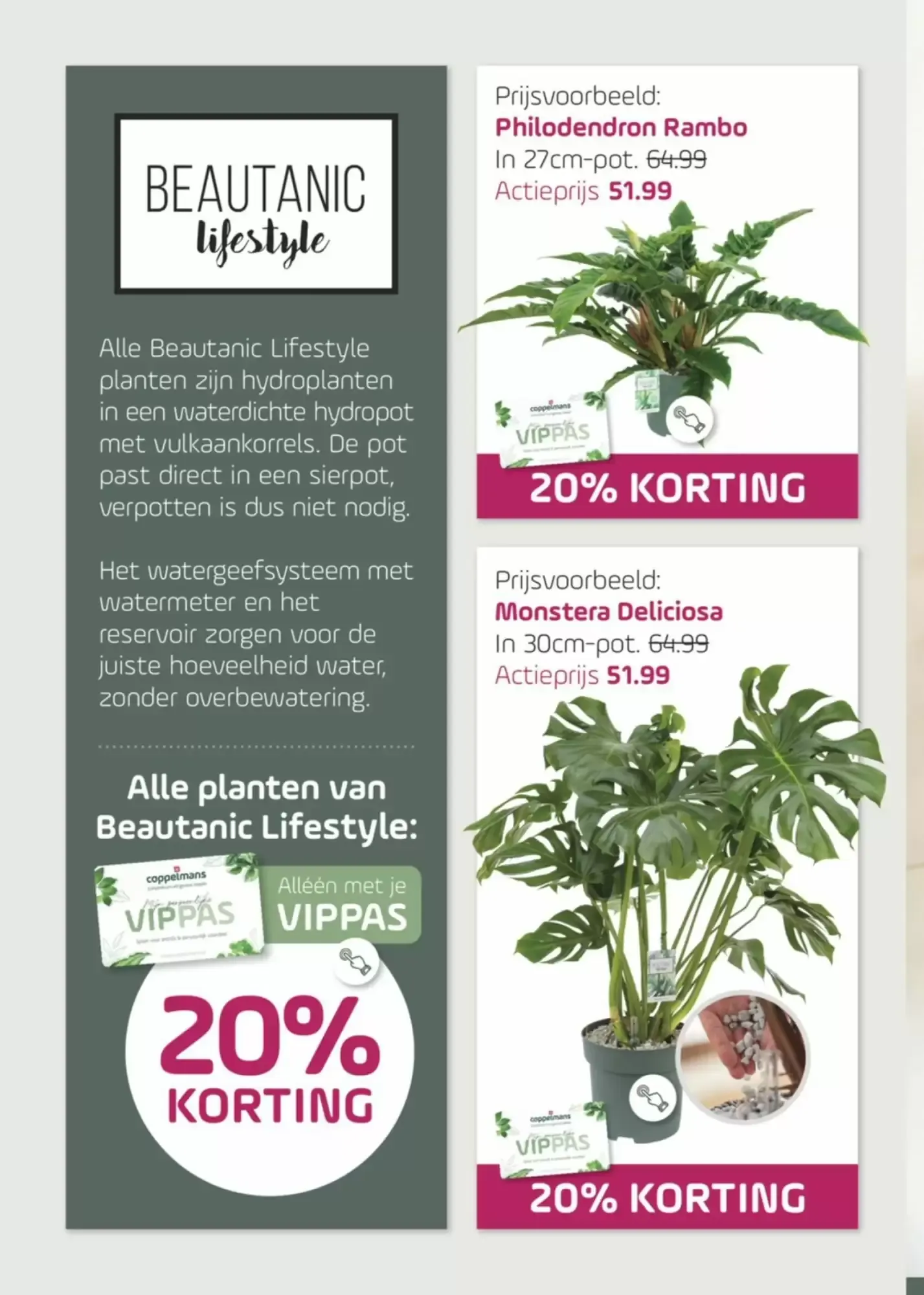 Coppelmans Kerstshows van 30 september tot 11 oktober 2026 - Folder pagina 6