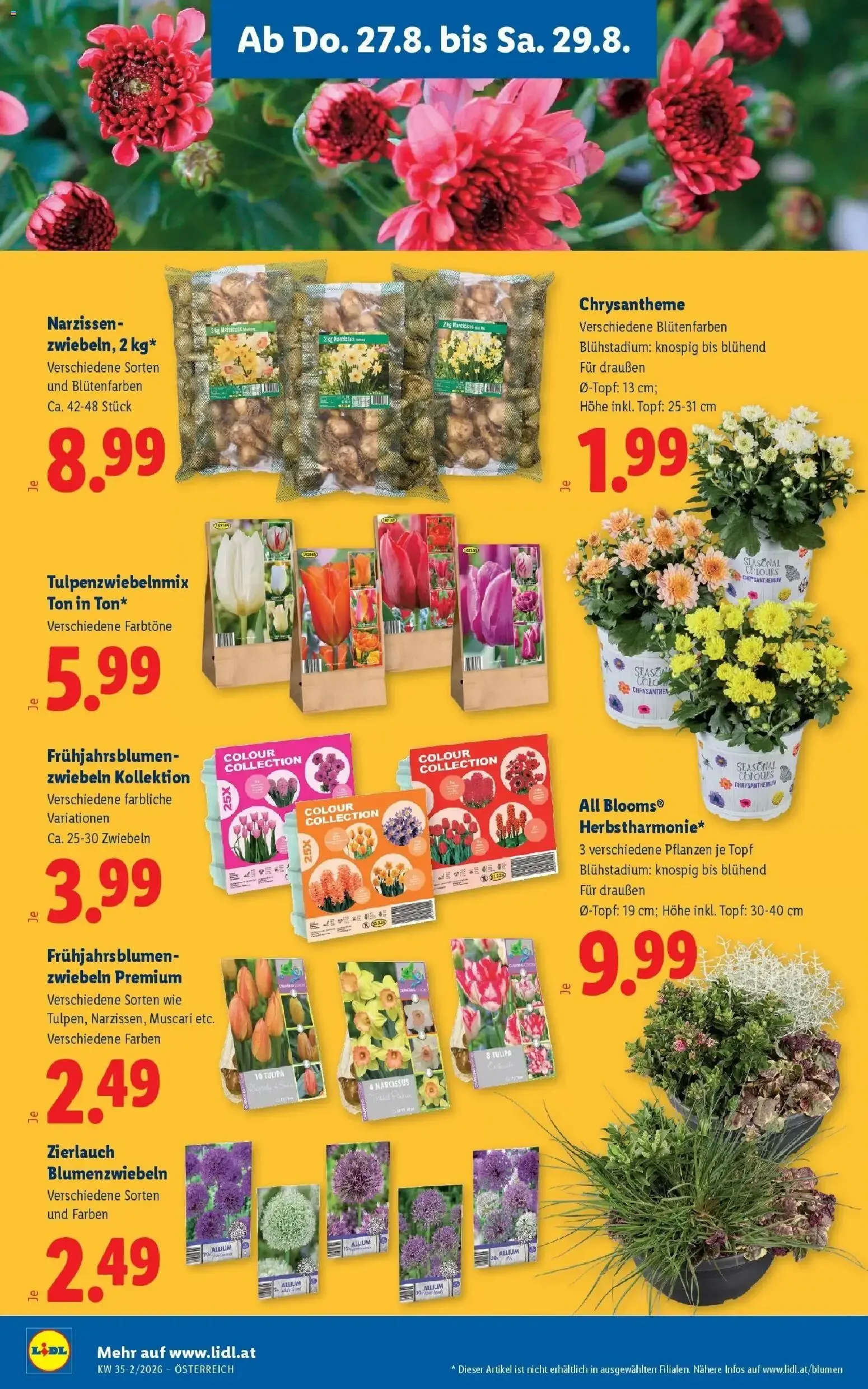 Lidl XXL Angebote von 27. August bis 29. August 2026 - Flugblätt seite  26