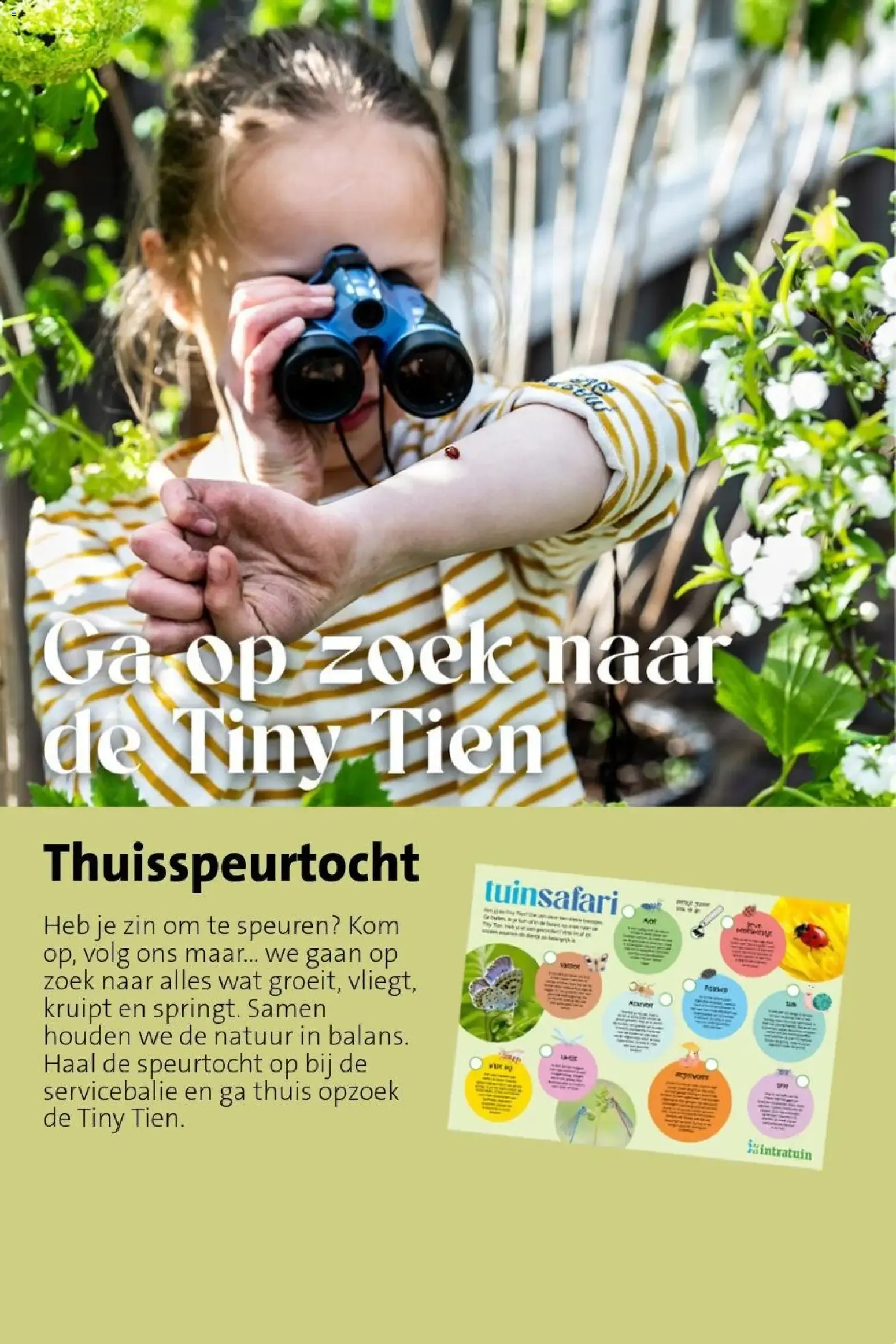 Intratuin: Laat de zomer beginnen! van 22 juni tot 28 juni 2026 - Folder pagina 15
