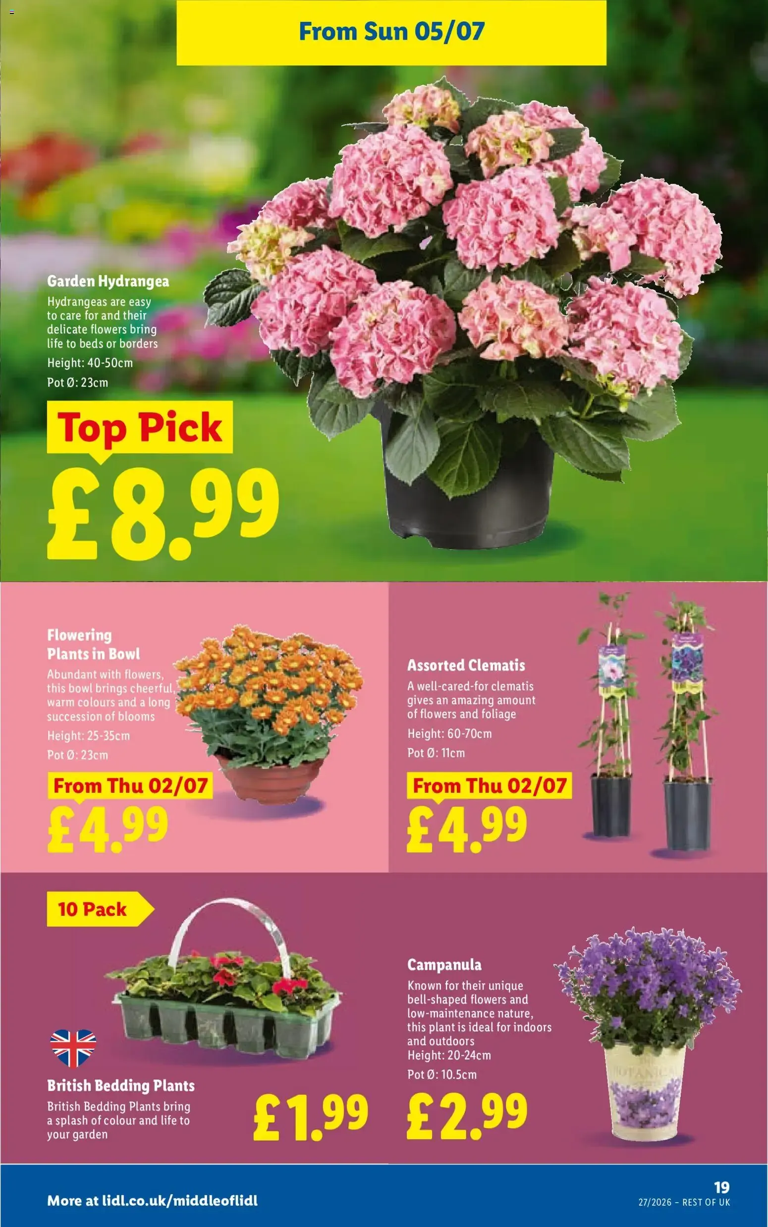 Beating the heat with something sweet - More to Value (Lidl Wales) from 2 July to 8 July 2026 - Catalogue Page 19