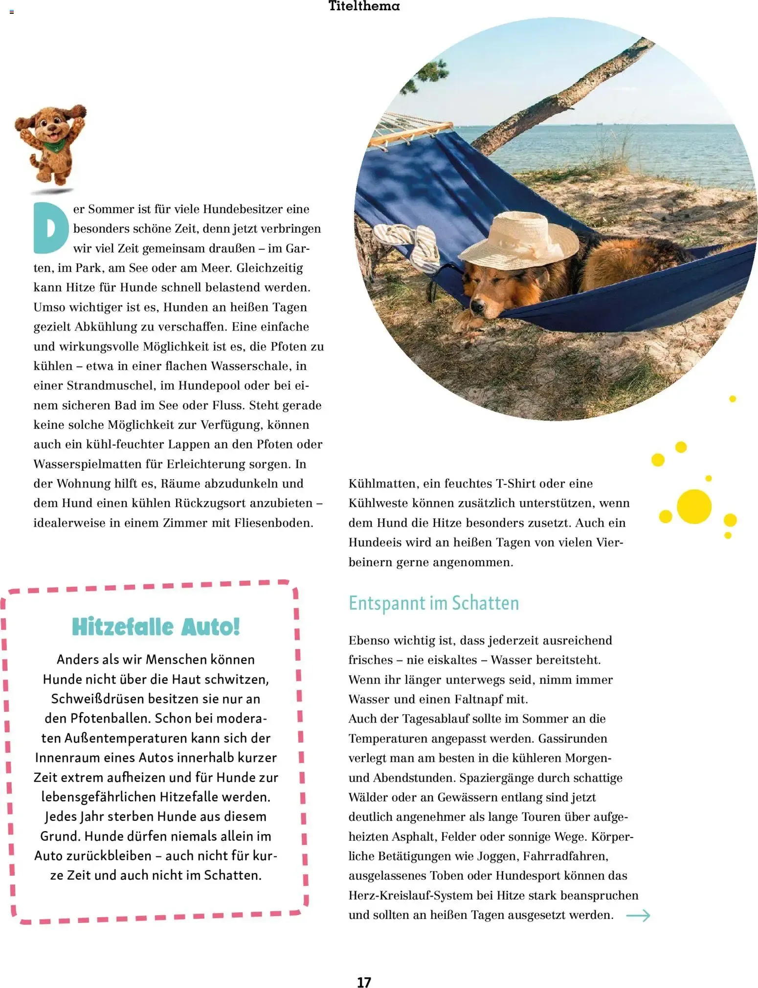 FRESSNAPF Friends - Europas größtes Haustier-Magazin von 1. Juli bis 31. August 2026 - Prospekt seite 17