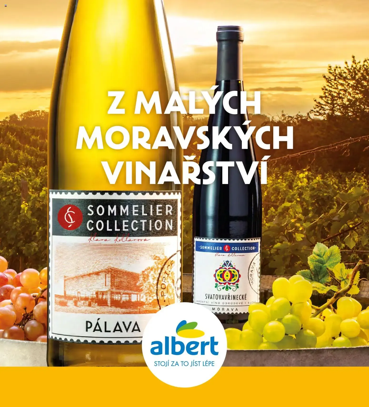 Albert magazín od 01.07.2026 - Akční leták - 1. července 31. srpna 2026 - Page 33