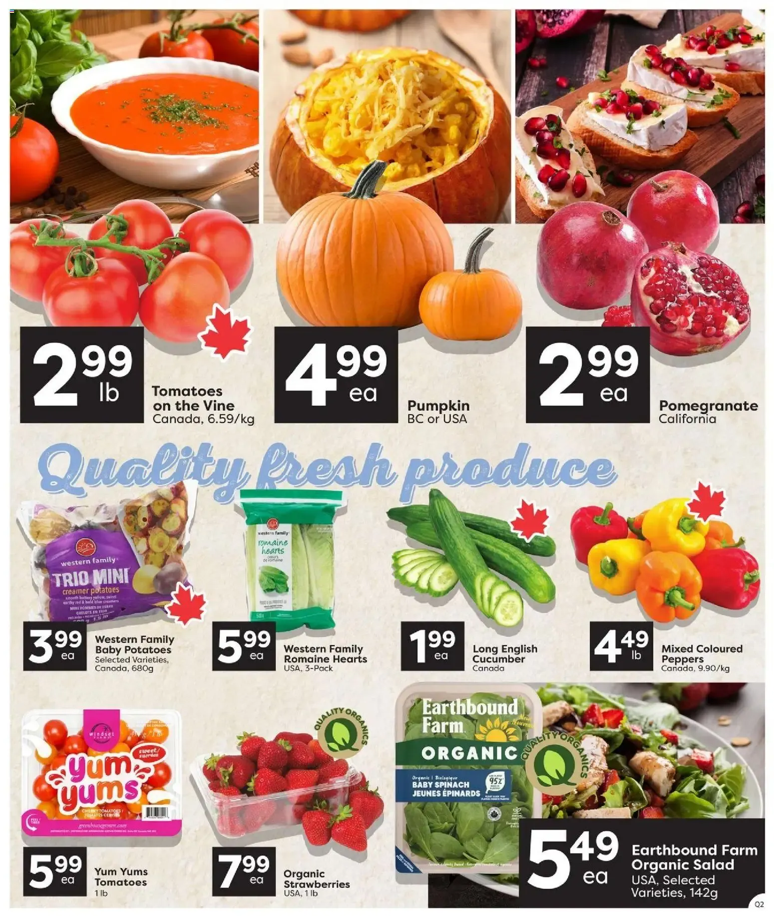Quality Foods weekly flyer / circulaire from Oct 15, 2026 > weekly specials & deals from October 15 to October 21 2026 - flyer page 3