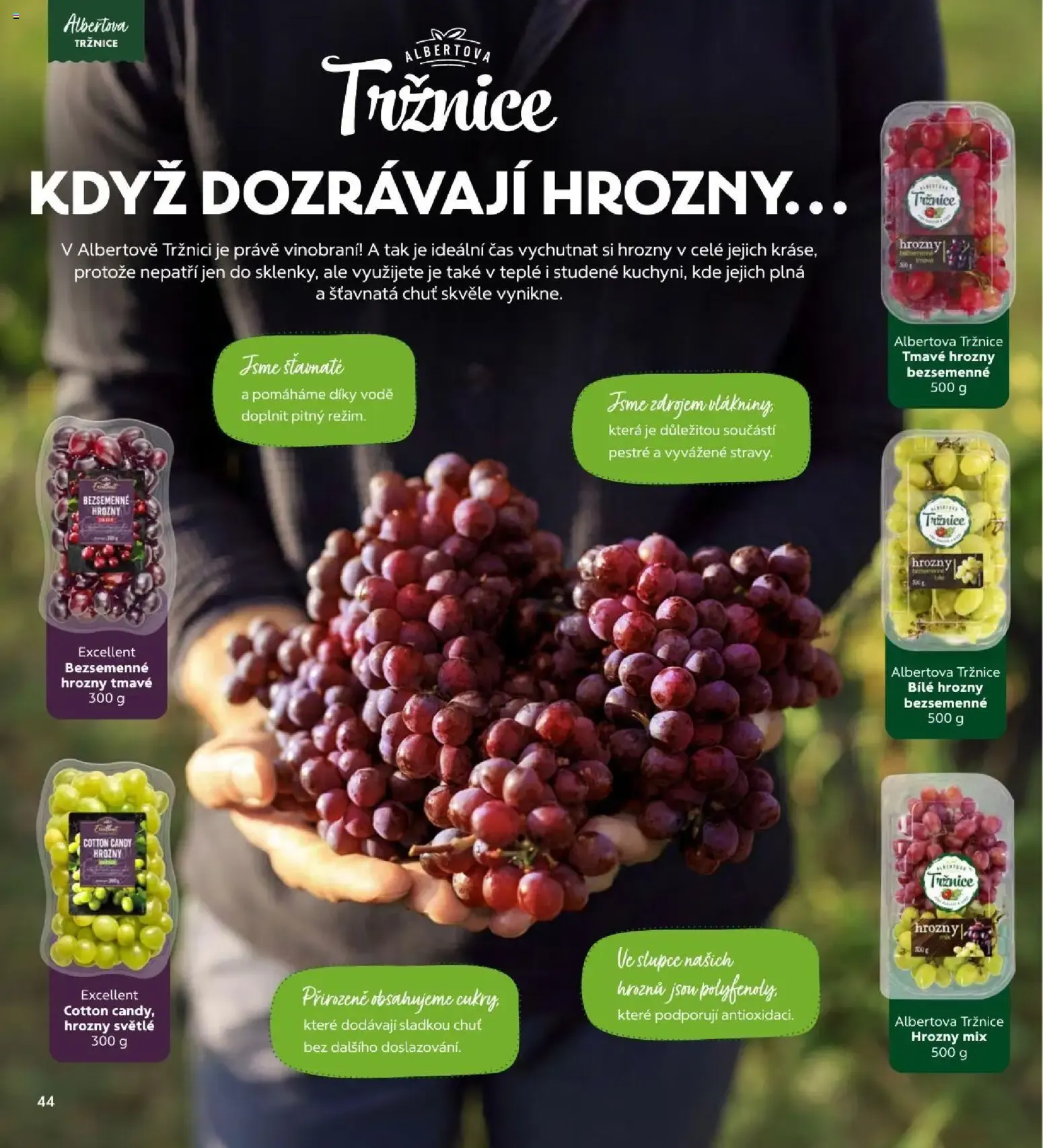 Albert magazín od 01.09.2026 - Akční leták - 1. září 30. září 2026 - Page 44