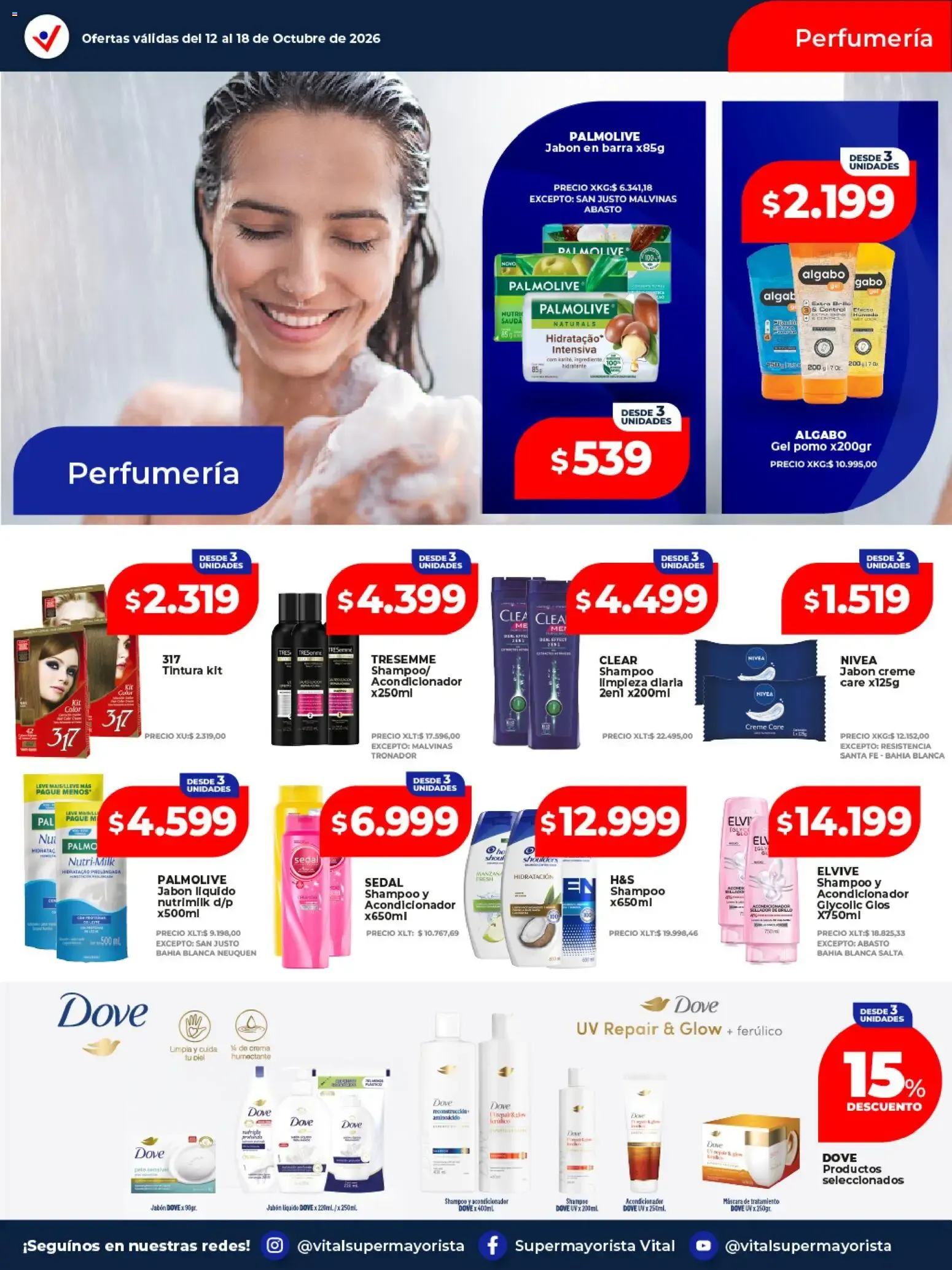 Ofertas de VITAL SUPERMAYORISTA EL MAYORISTA DE TU AHORRO 12 de octubre al 18 de octubre 2026 - Página 2 del catálogo