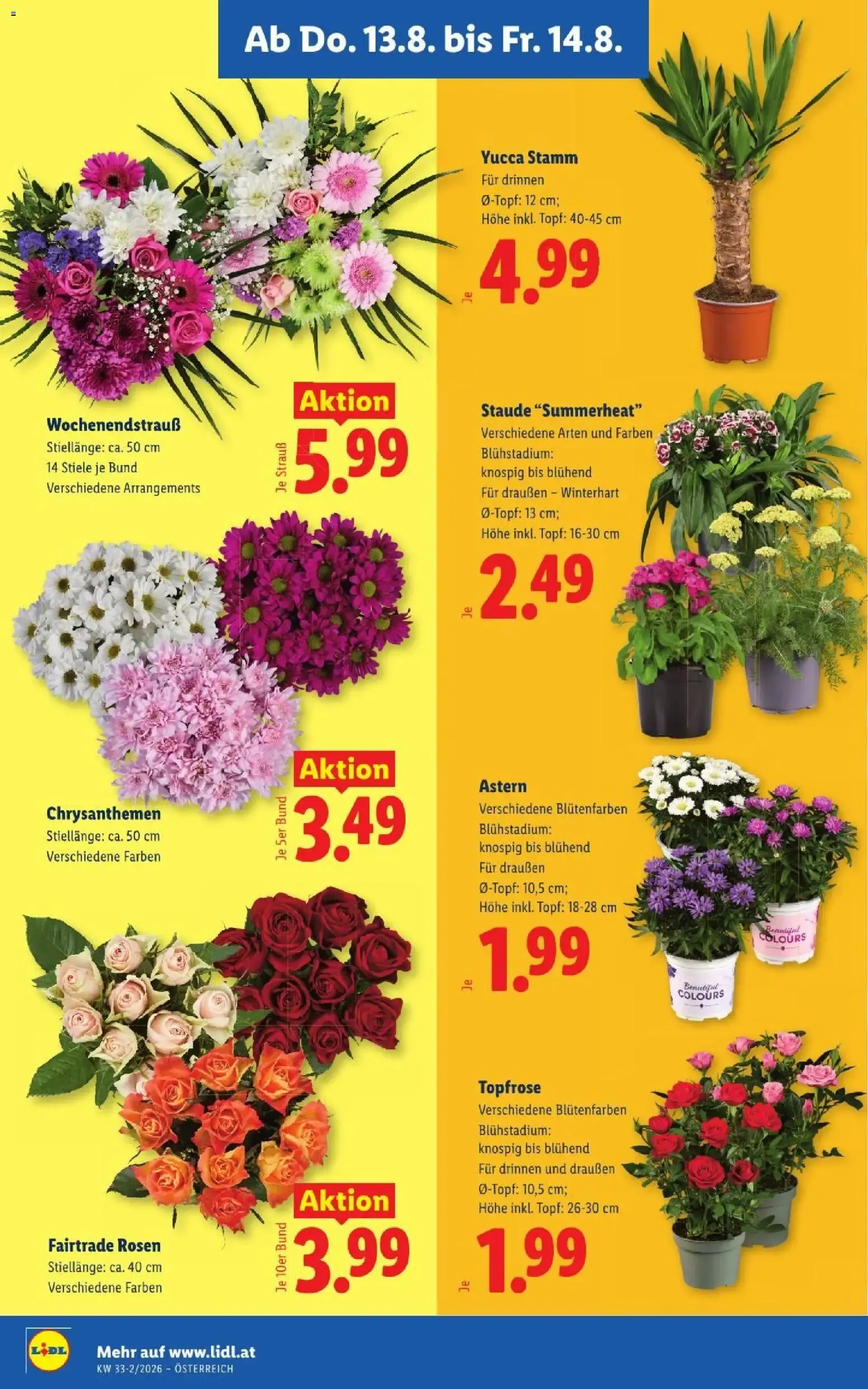Lidl - Flugblatt ab 13.08.2026 - Angebote ab donnerstag von 13. August bis 14. August 2026 - Flugblätt seite  26