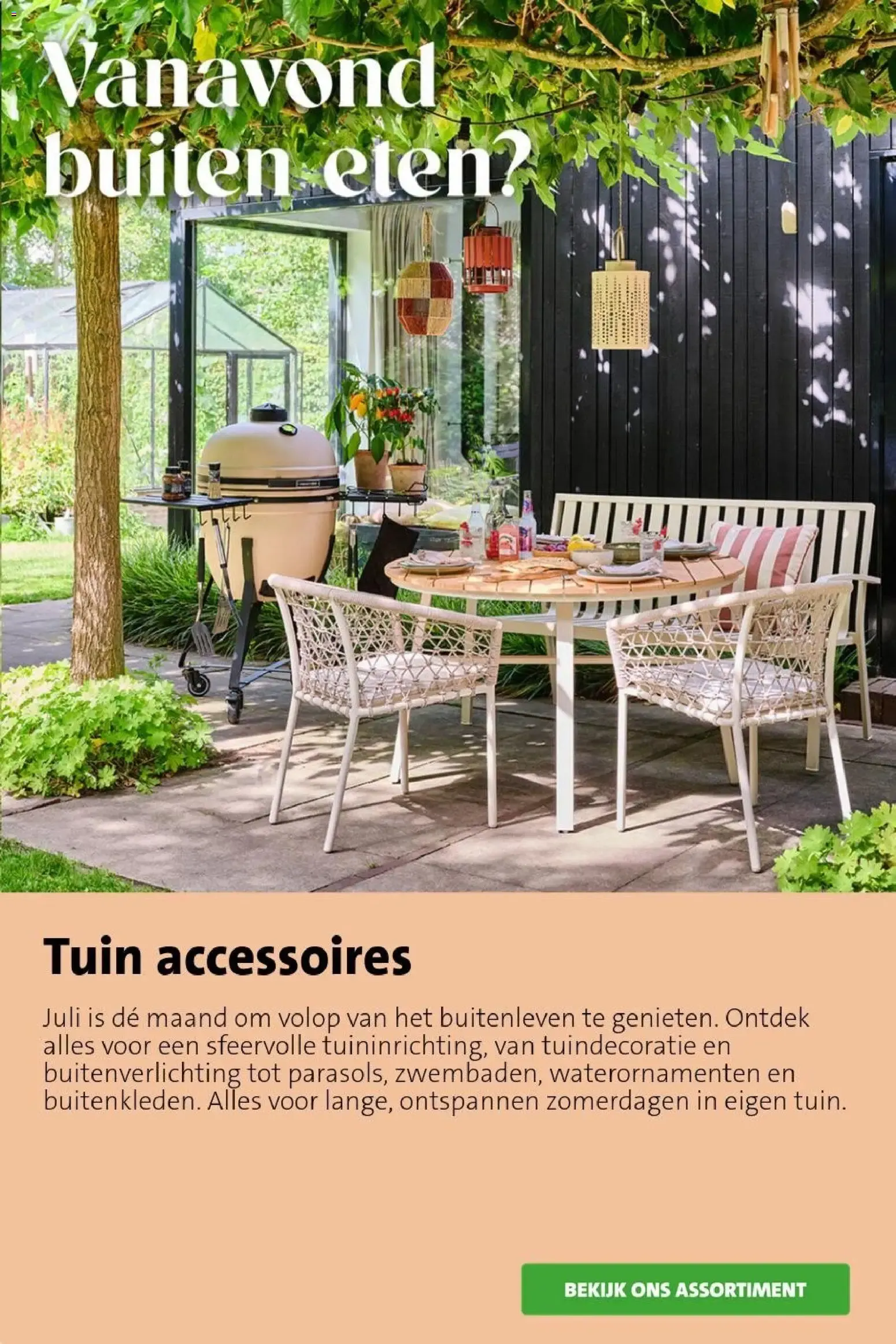 Intratuin Planten-feestje van 20 juli tot 26 juli 2026 - Folder pagina 6