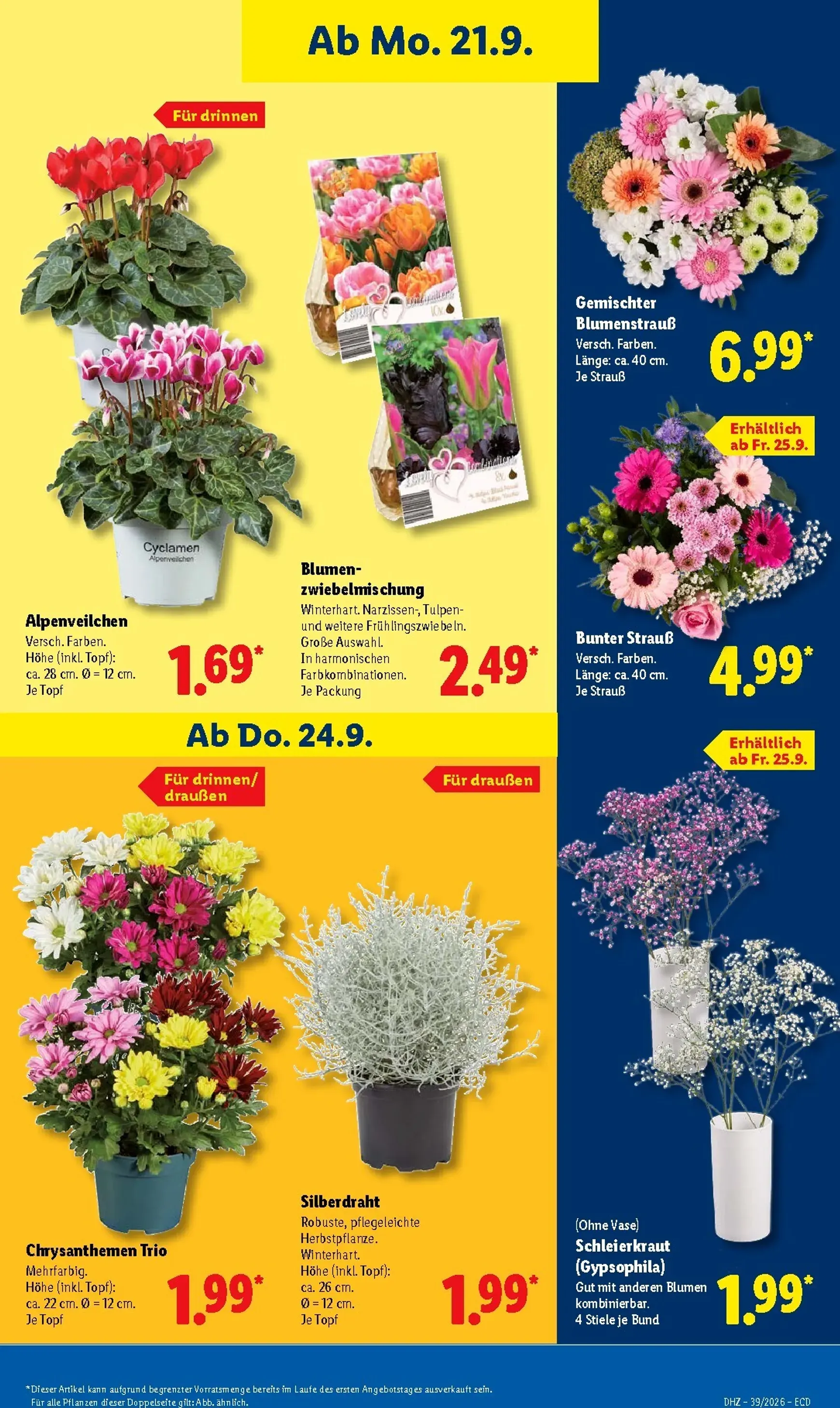 Lidl Prospekt nächste Woche – von Montag 21.09.2026 bis Samstag 26.09.2026 von 21. September bis 26. September 2026 - Prospekt seite 22