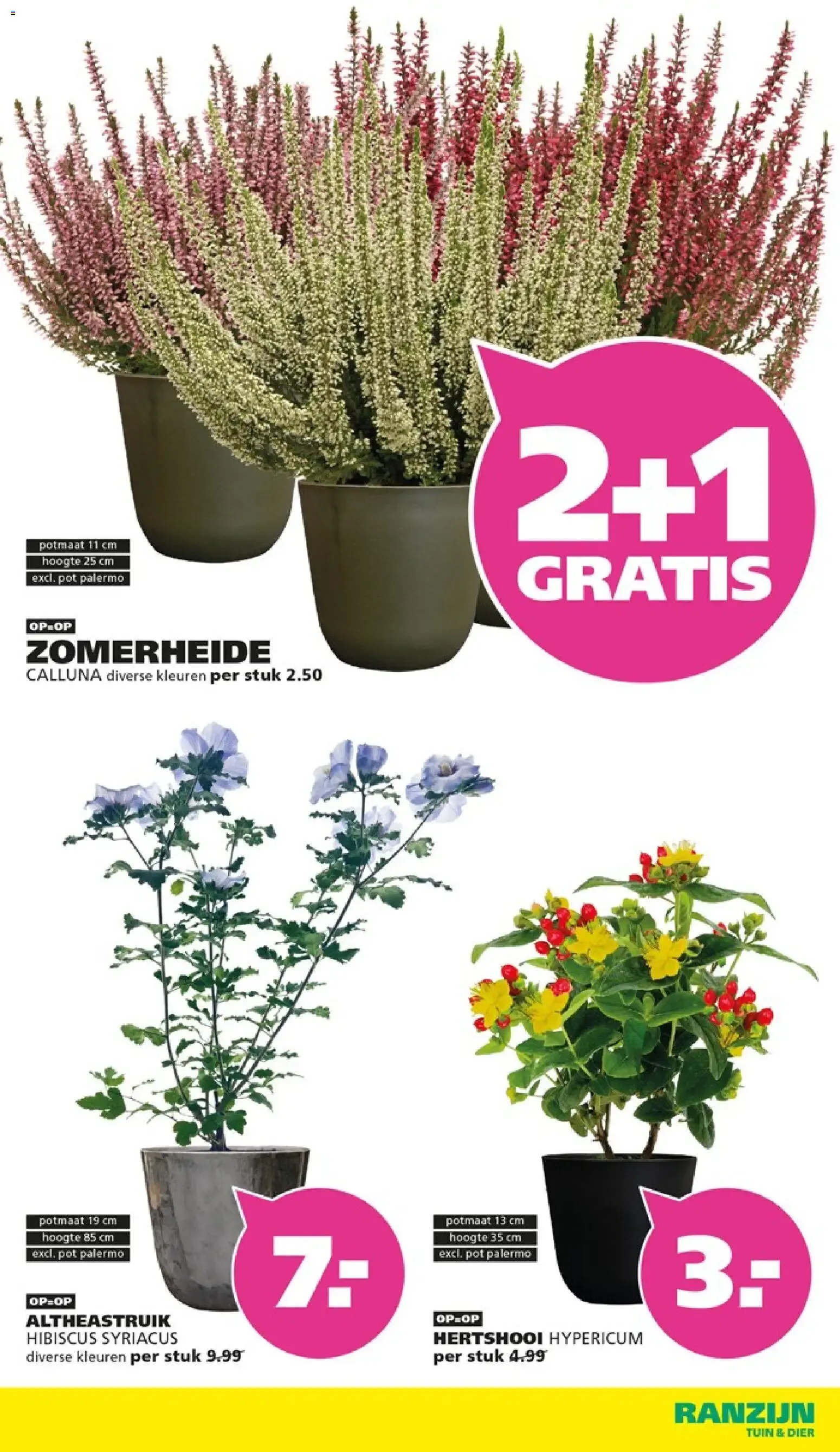 Weg met vlooien en teken! van 23 augustus tot 5 september 2026 - Folder pagina 12