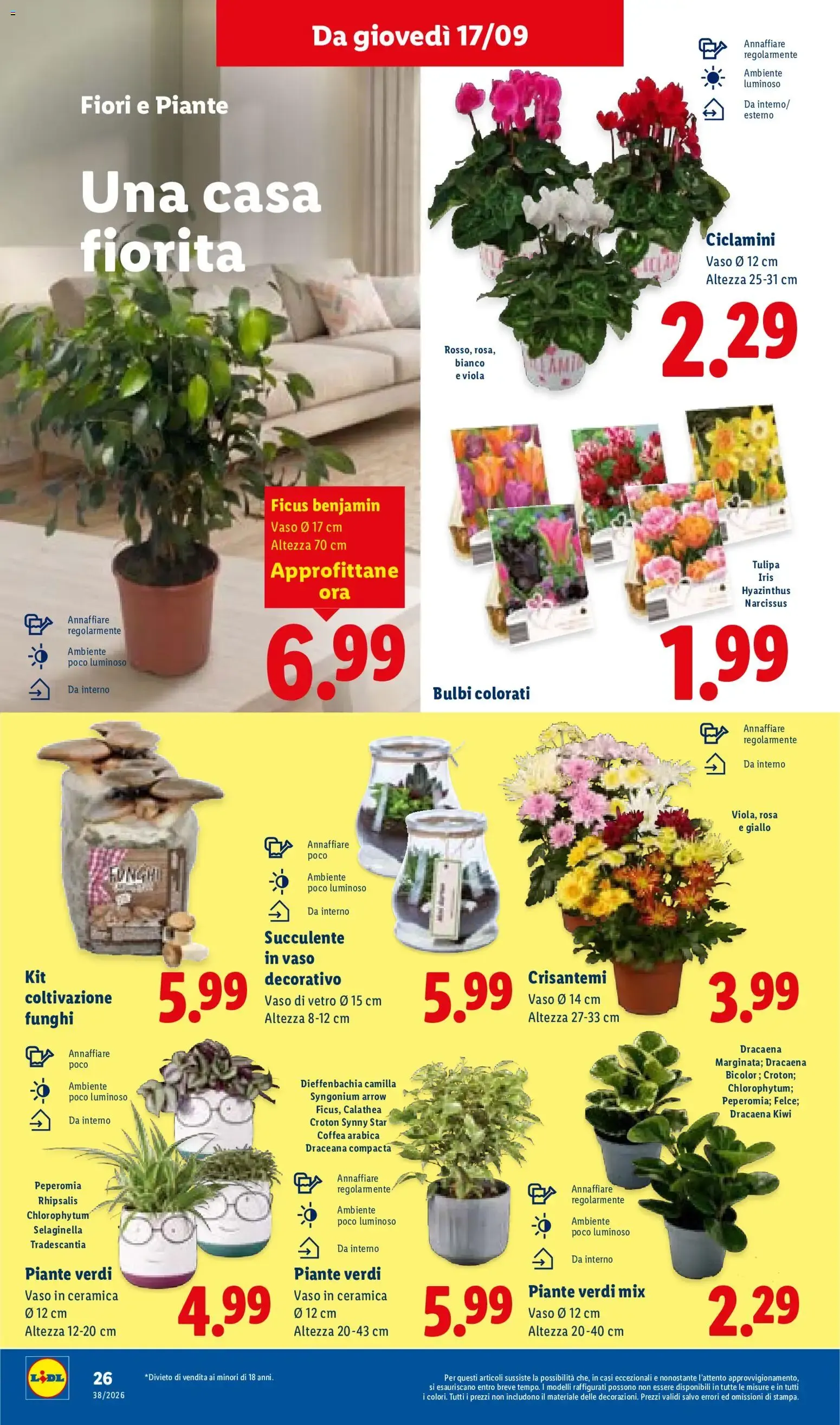 Lidl XXL Grande formato, grande convenienza y Mega Offerte da 17 settembre a 23 settembre di 2026 - Pagina del volantino 32