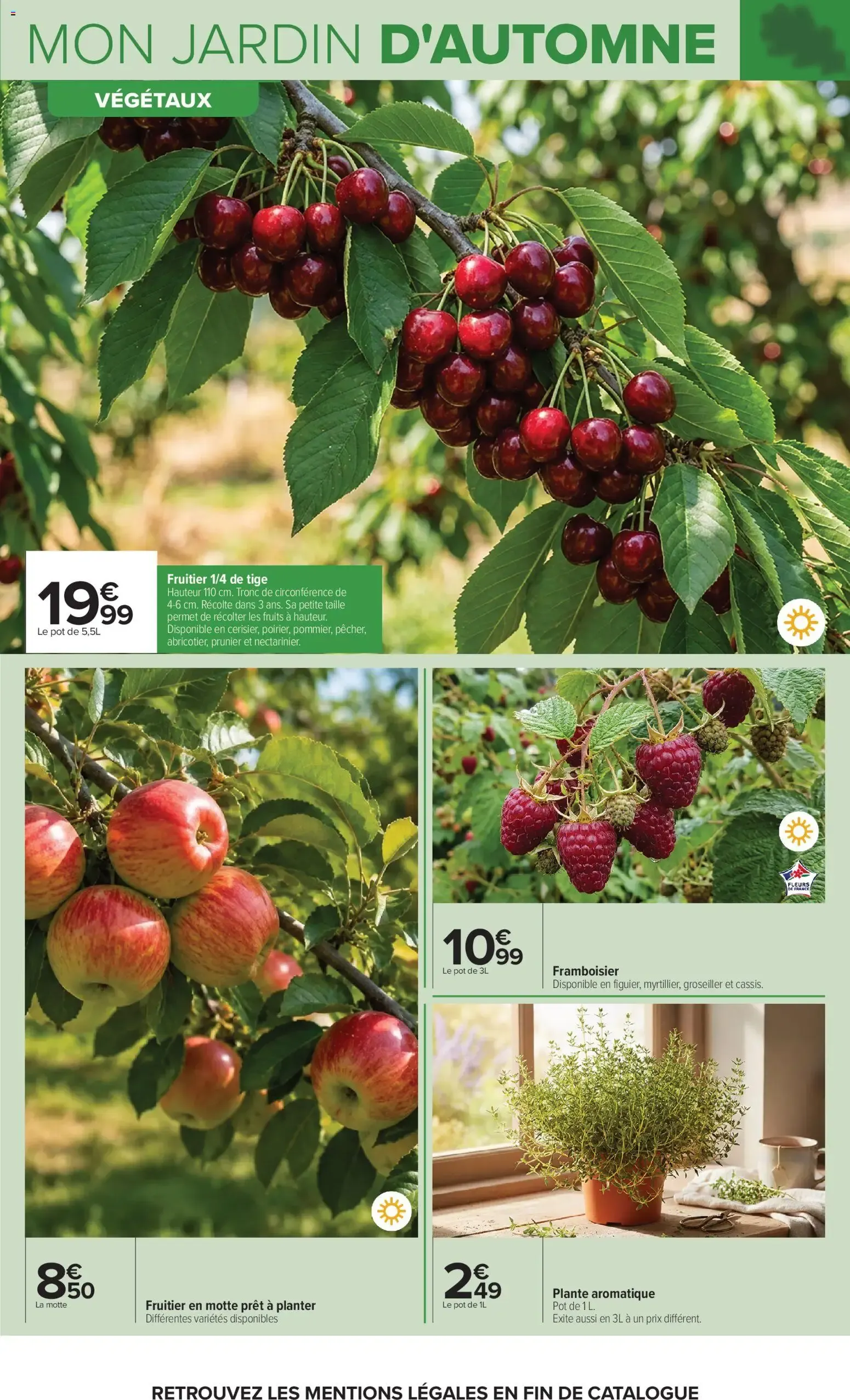 Carrefour Jardin et bricolage à partir du 29/09/2026 - promo en ligne du 29 septembre au 12 octobre 2026 - Catalogue page 5