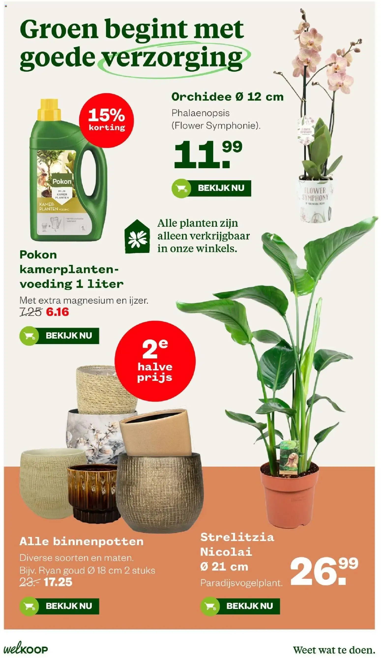 Welkoop folder vanaf 19-10-2026 || NIEUWE van 19 oktober tot 8 november 2026 - Folder pagina 8