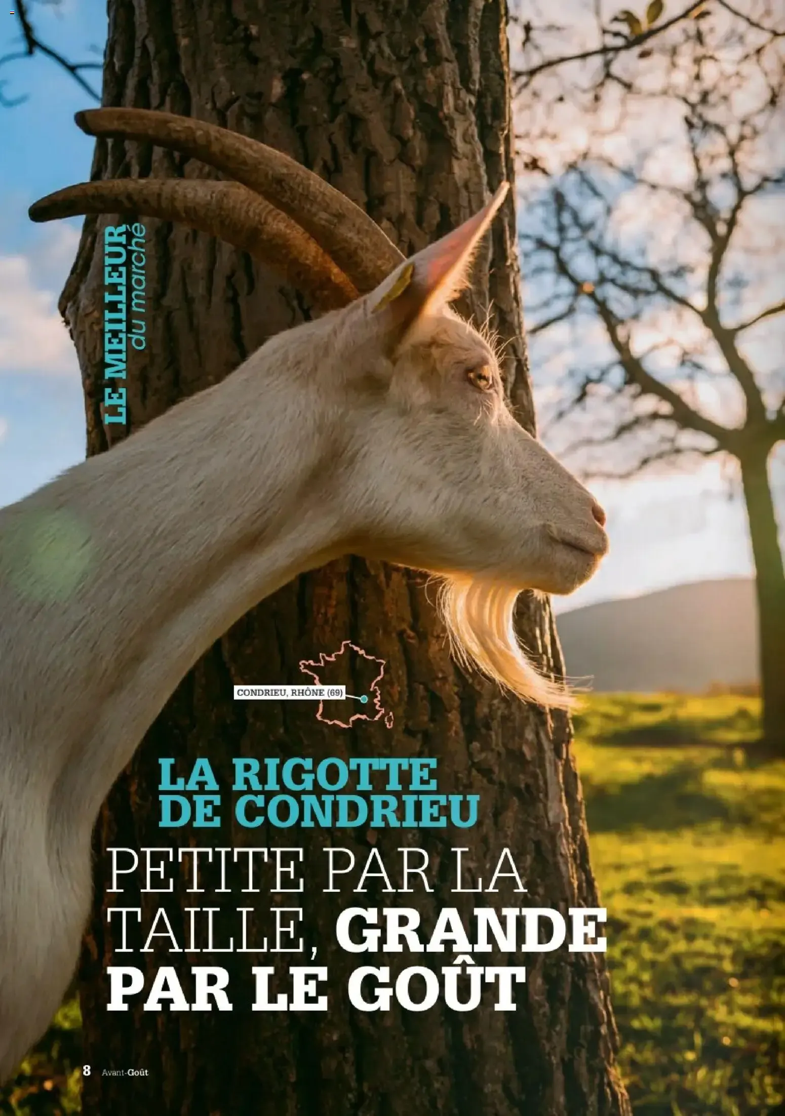 Grand Frais catalogue à partir du 02/06/2026 - promo en ligne du 2 juin au 31 juillet 2026 - Catalogue page 2