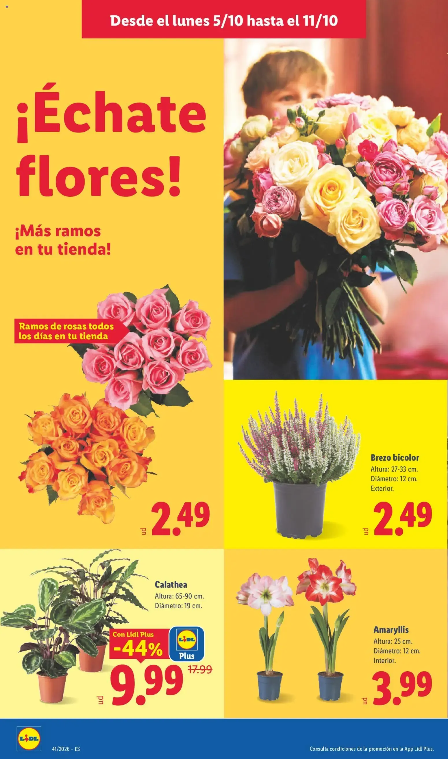 Catálogo de Lidl folleto del 05/10/2026 | Ofertas 5 de octubre al 11 de octubre 2026 - Página 50