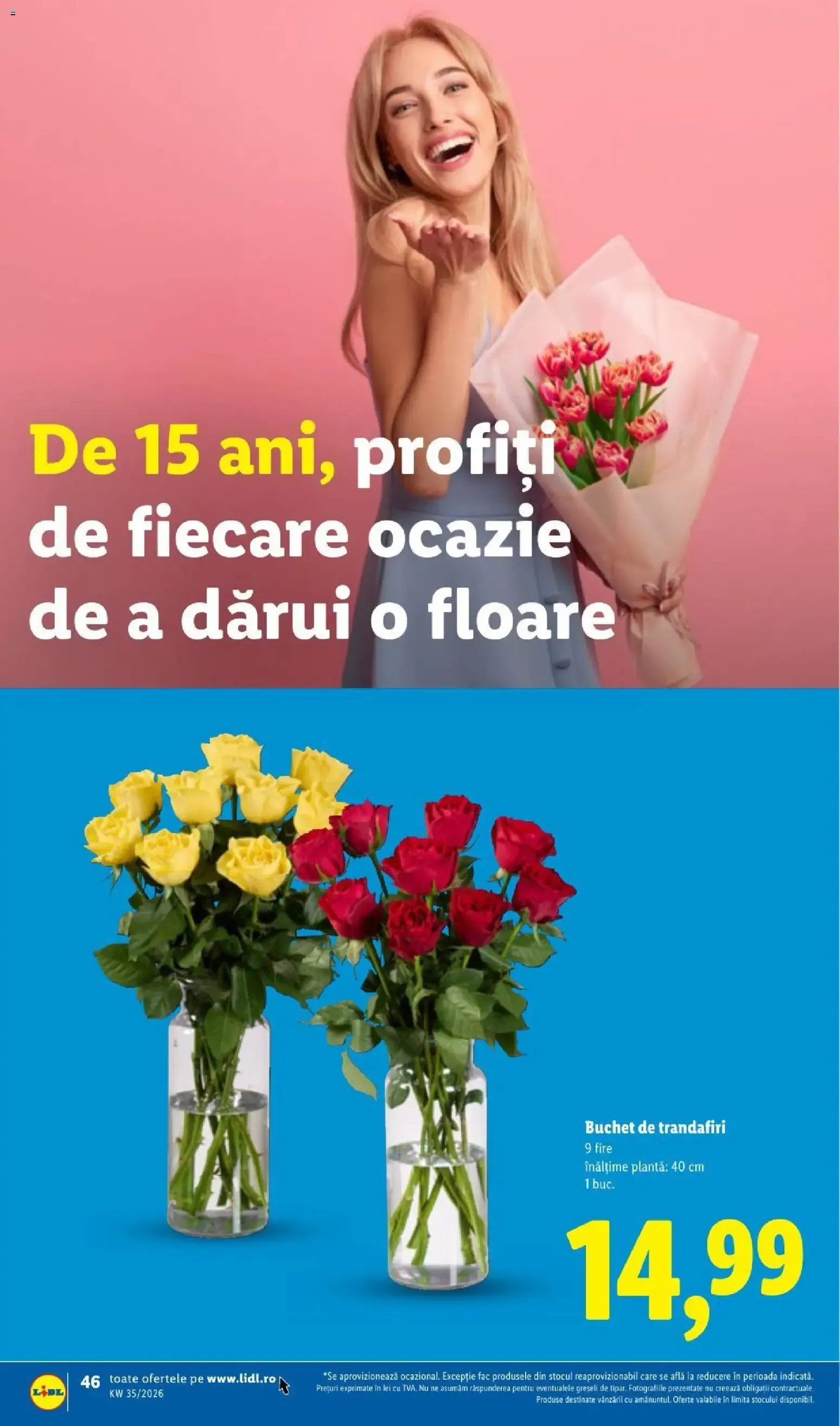 Catalog LIDL: Ieftin și înainte, și după ziua de salariu (Ofertas del 24 al 30 de agosto de 2026) de la 24 august până la 30 august 2026 - Revista Pagina 46