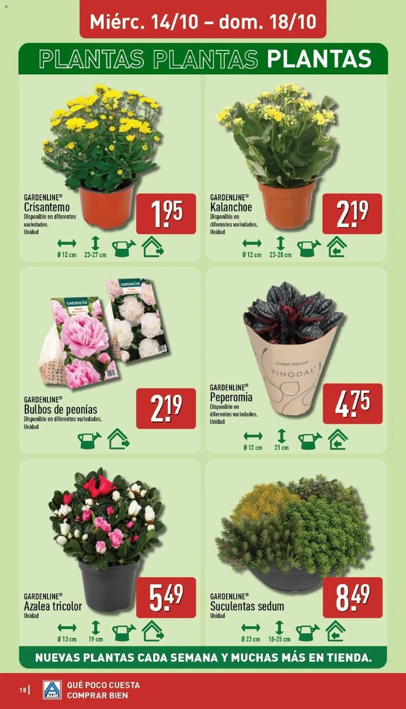 Catálogo de Aldi folleto Baleares del 12/10/2026 | Catálogo 12 de octubre al 18 de octubre 2026 - Página 18