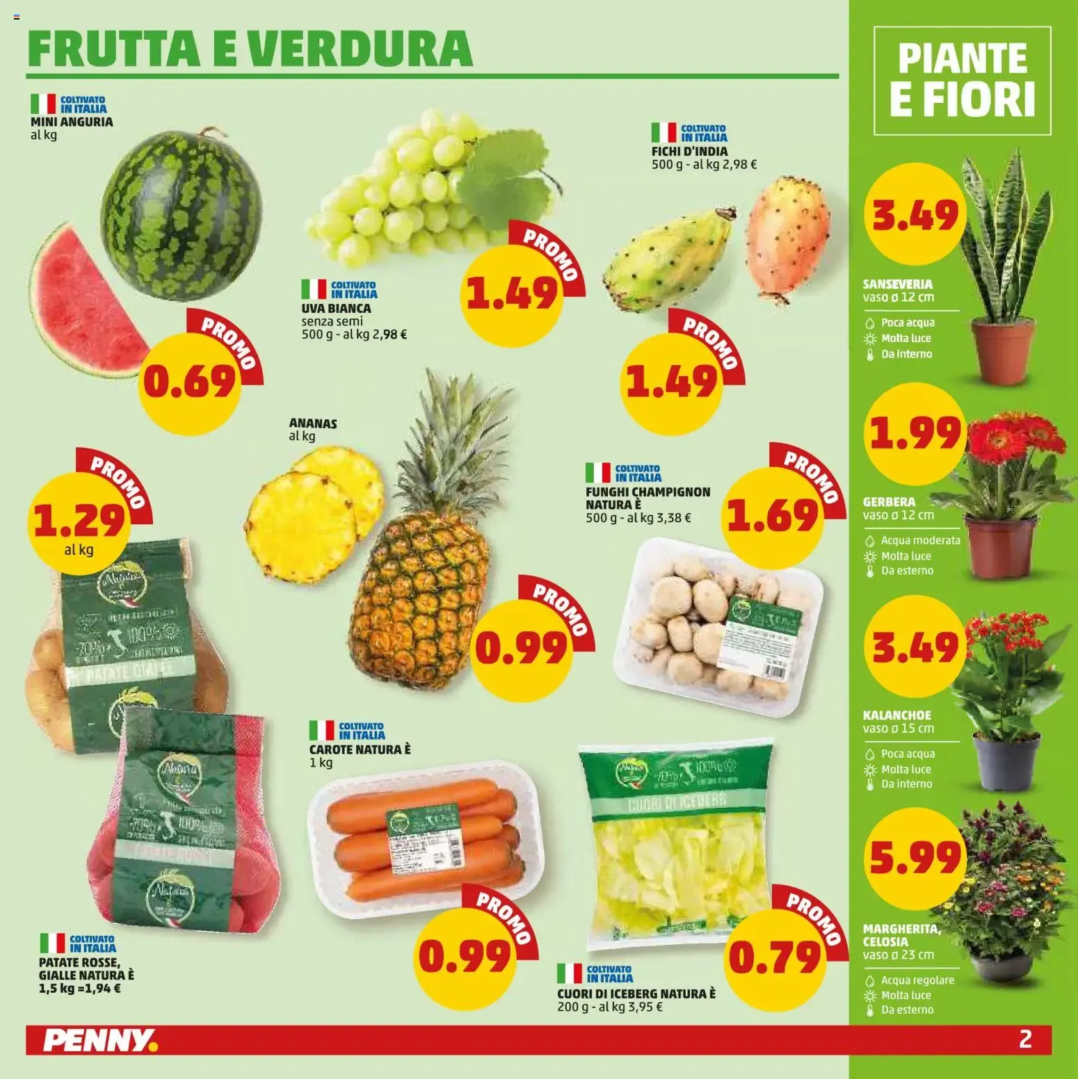 Volantino PENNY dal 13/08/2026 anteprima da 13 agosto a 26 agosto di 2026 - Pagina del volantino 2