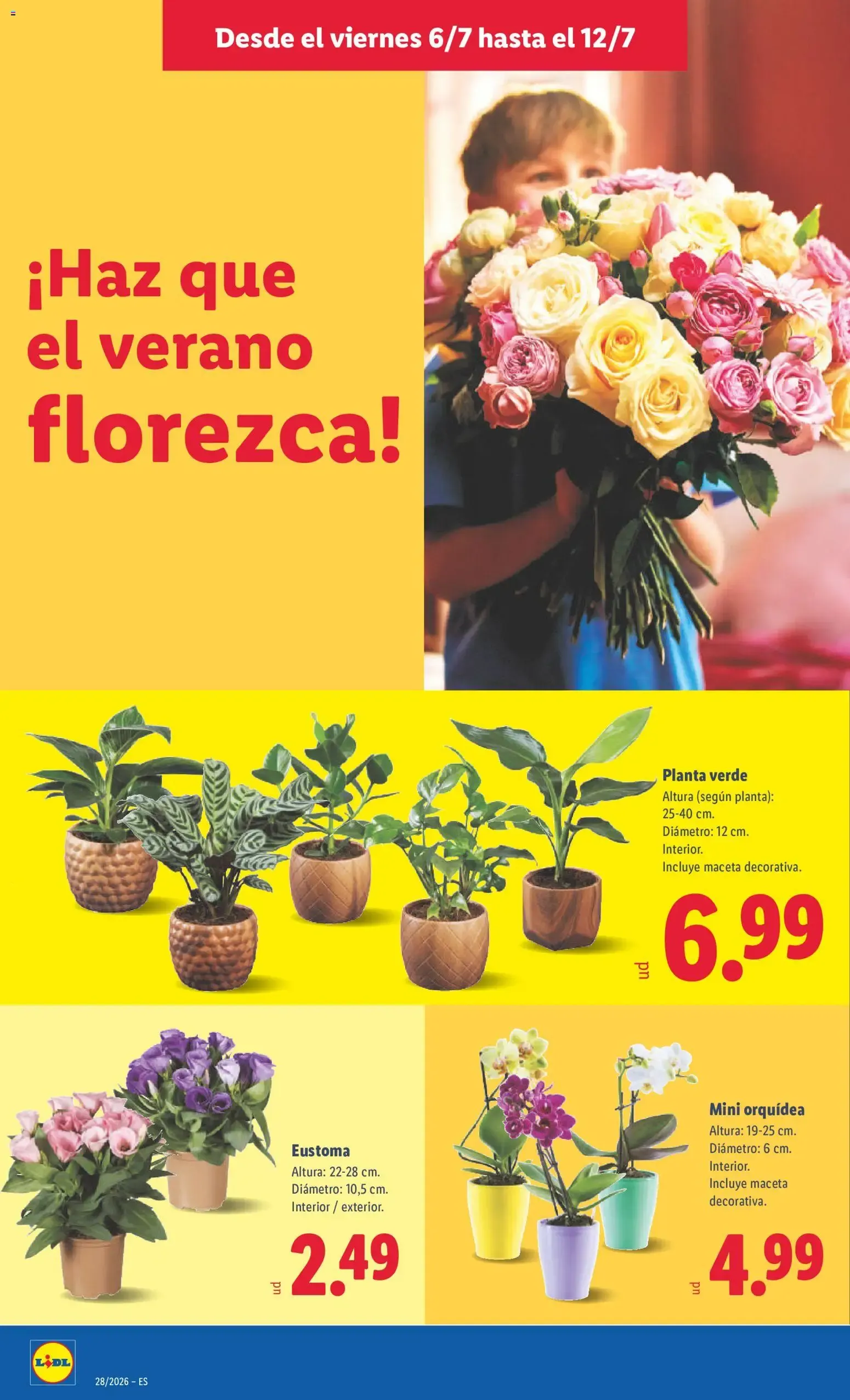 Catálogo de Lidl Plus: acumula puntos y llévate premios extra 6 de julio al 12 de julio 2026 - Página 58
