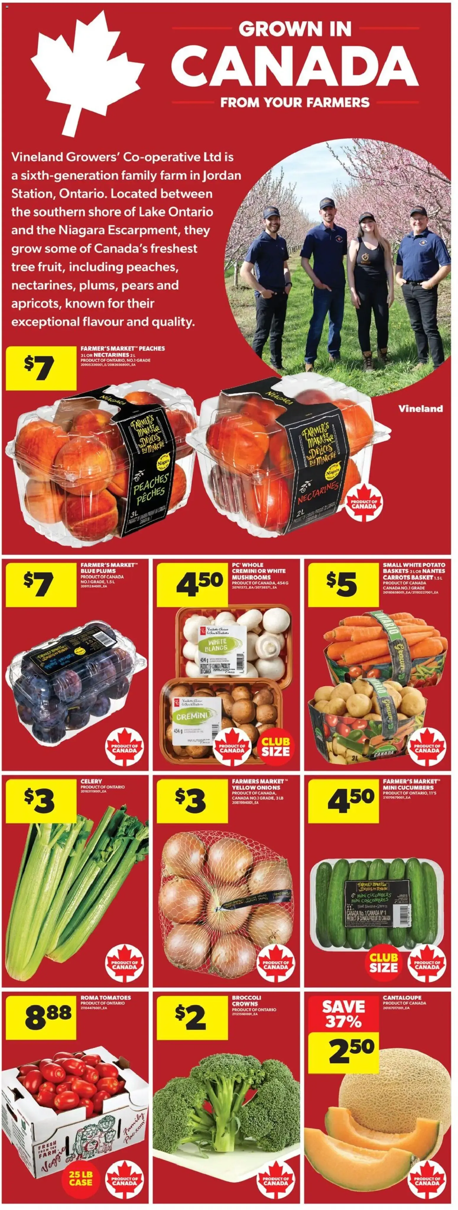 PC Optimum App-Exclusive Offer - One Day Only from August 20 to August 20 2026 - flyer page 11