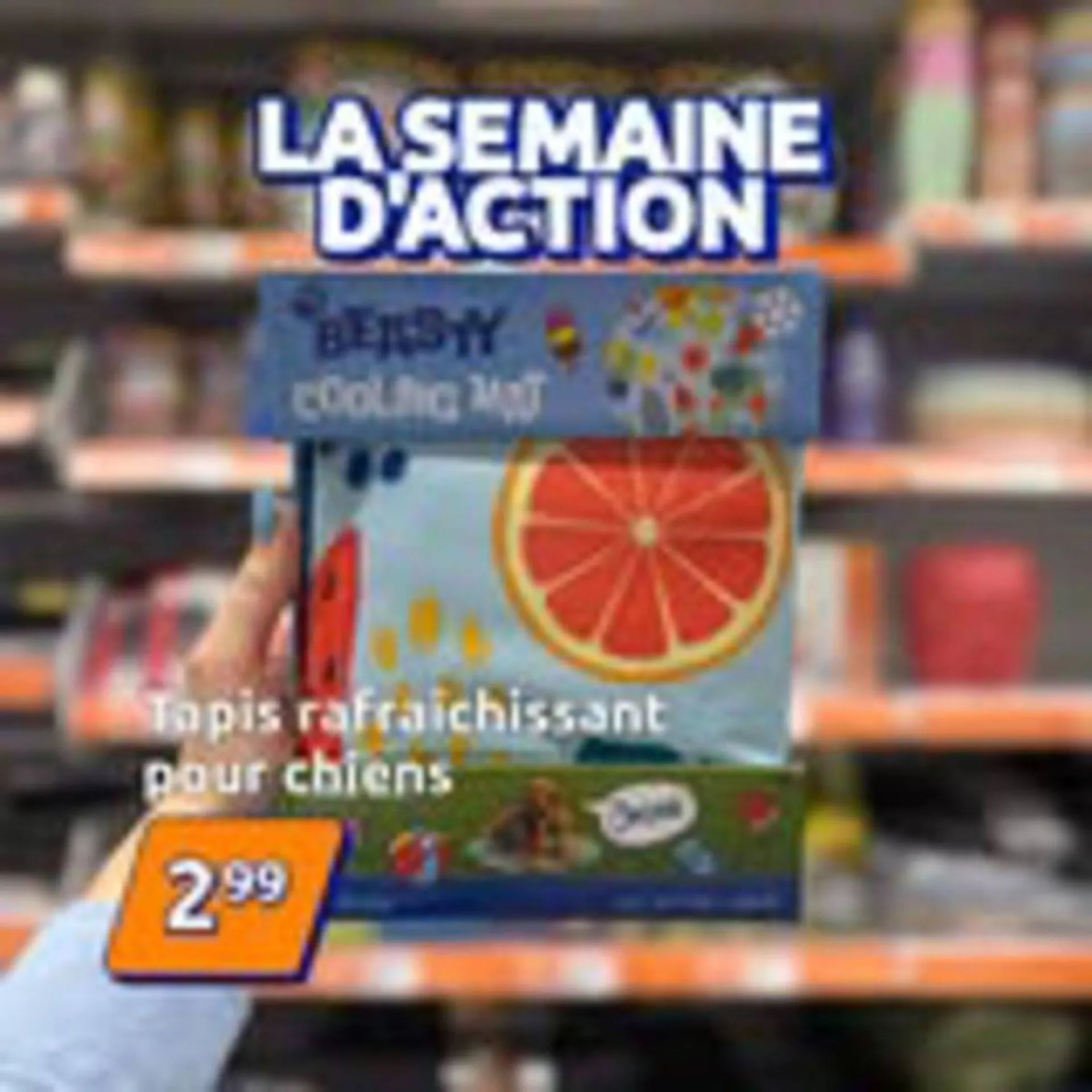 Action Catalogue Du 18/06/2026 au 26/06/2026 du 18 juin au 26 juin 2026 - Catalogue page 10