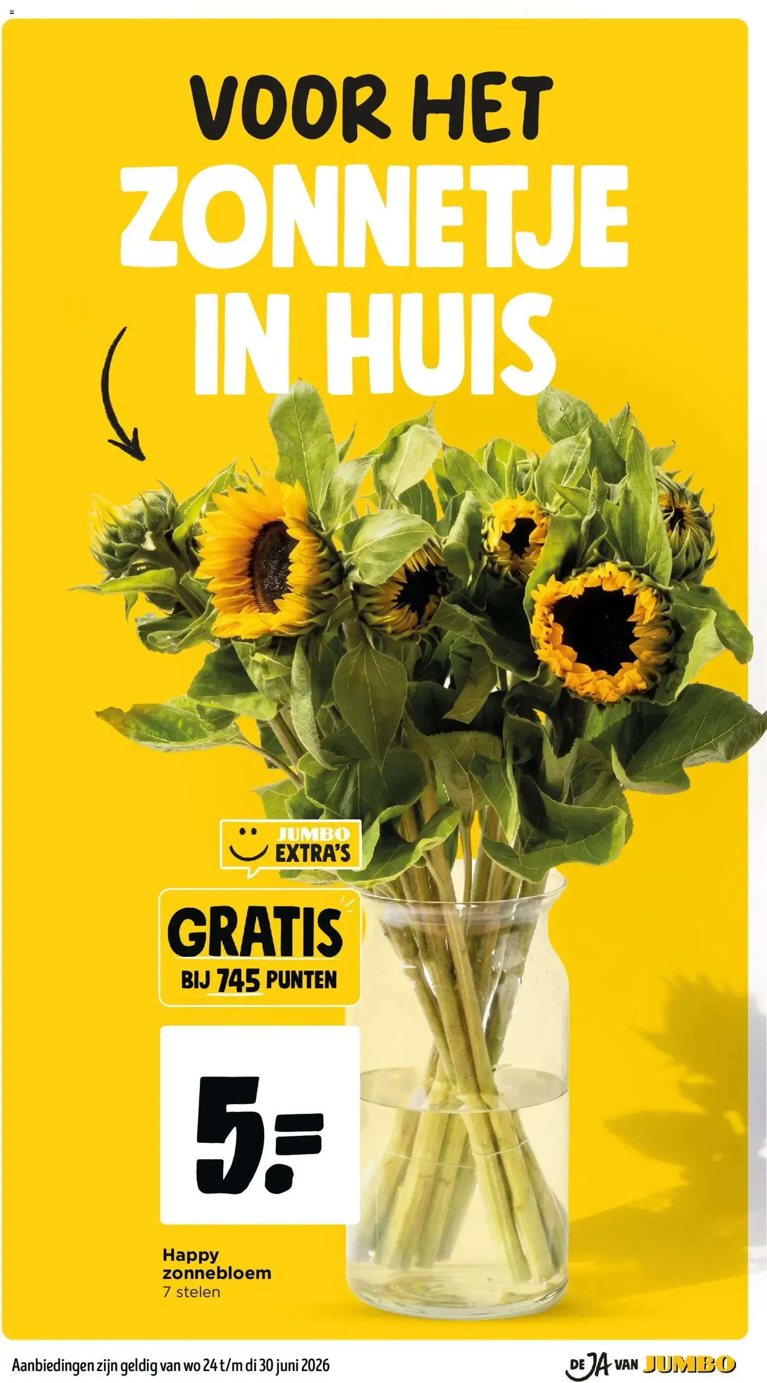 Jumbo folder vanaf 24-06-2026 -- deze week (aanbiedingen) van 24 juni tot 30 juni 2026 - Folder pagina 17