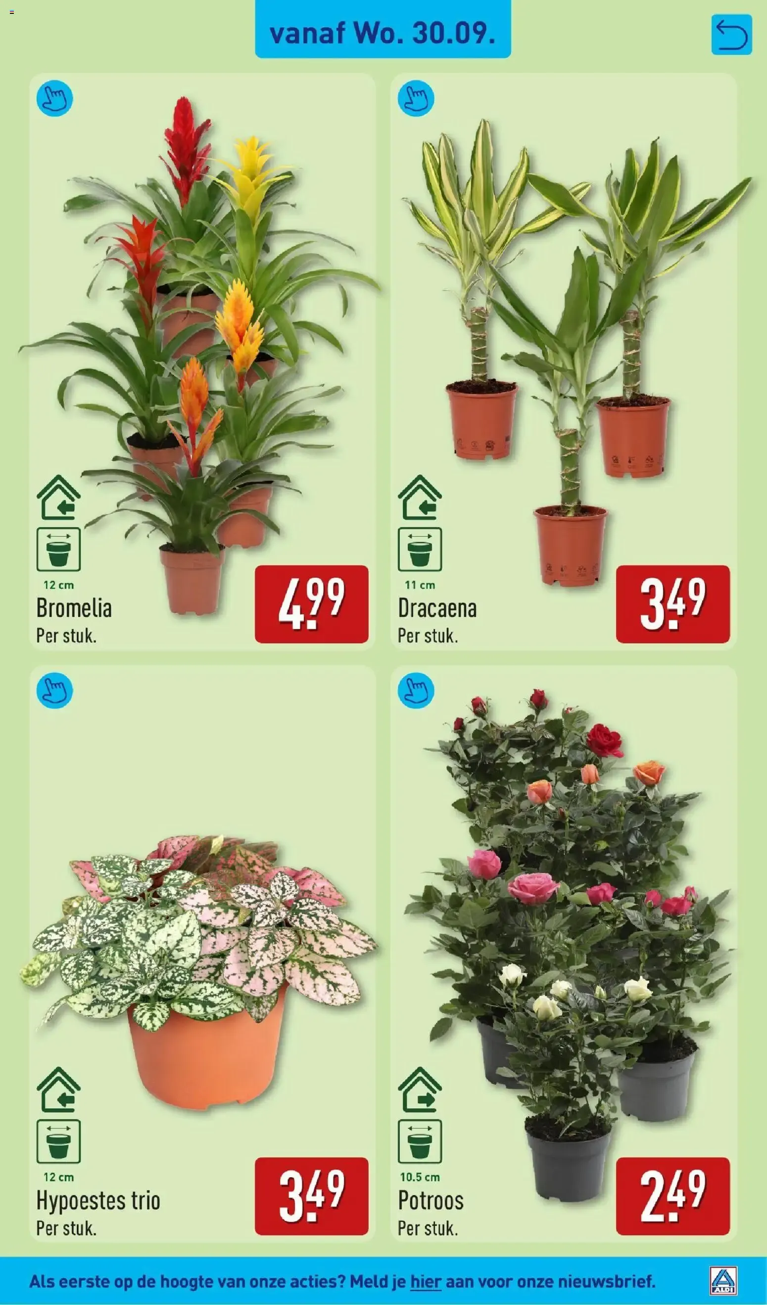 Aldi XXL Voordeel van 28 september tot 4 oktober 2026 - Folder pagina 37