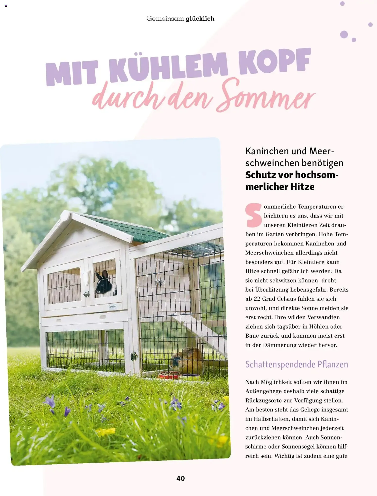 FRESSNAPF Friends - Europas größtes Haustier-Magazin von 1. Juli bis 31. August 2026 - Prospekt seite 40