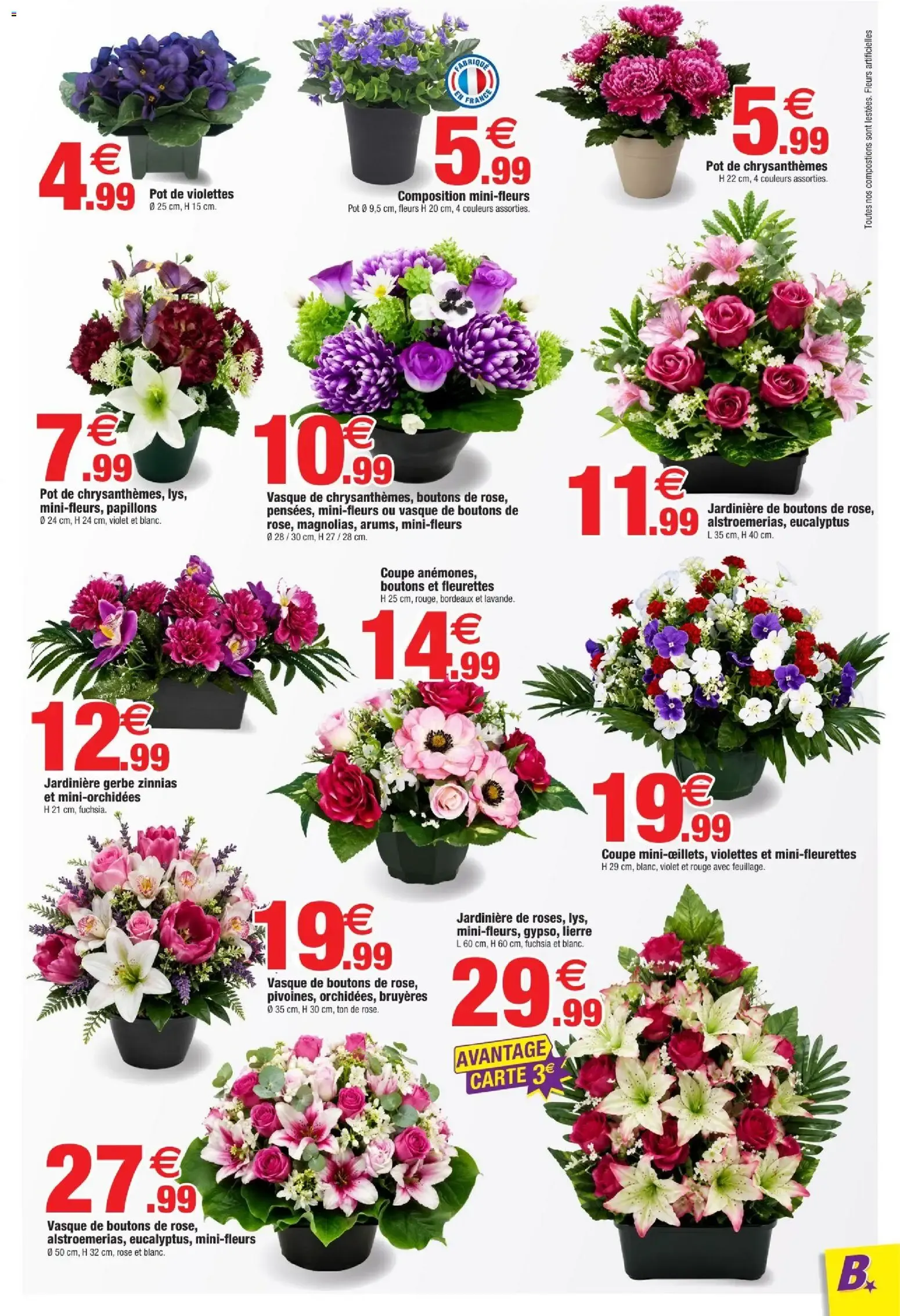 Bazarland: Toussaint, nos precios en flores du 30 septembre au 11 octobre 2026 - Catalogue page 5