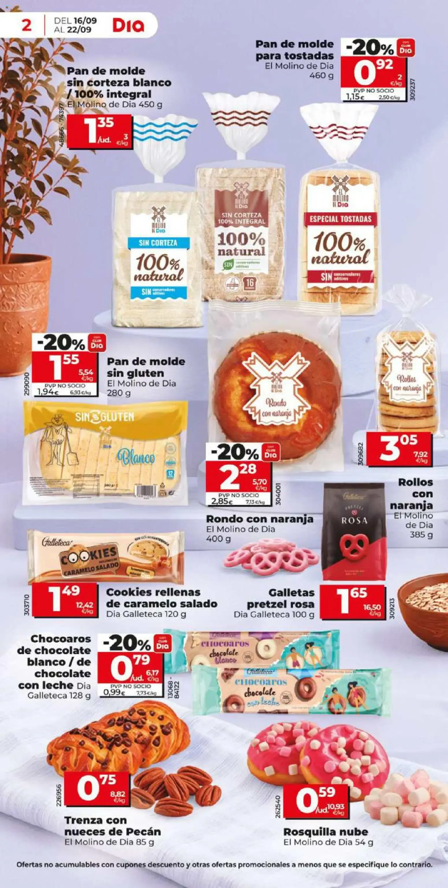 Catálogo de Folleto de ofertas Dia 16 de septiembre al 22 de septiembre 2026 - Página 2