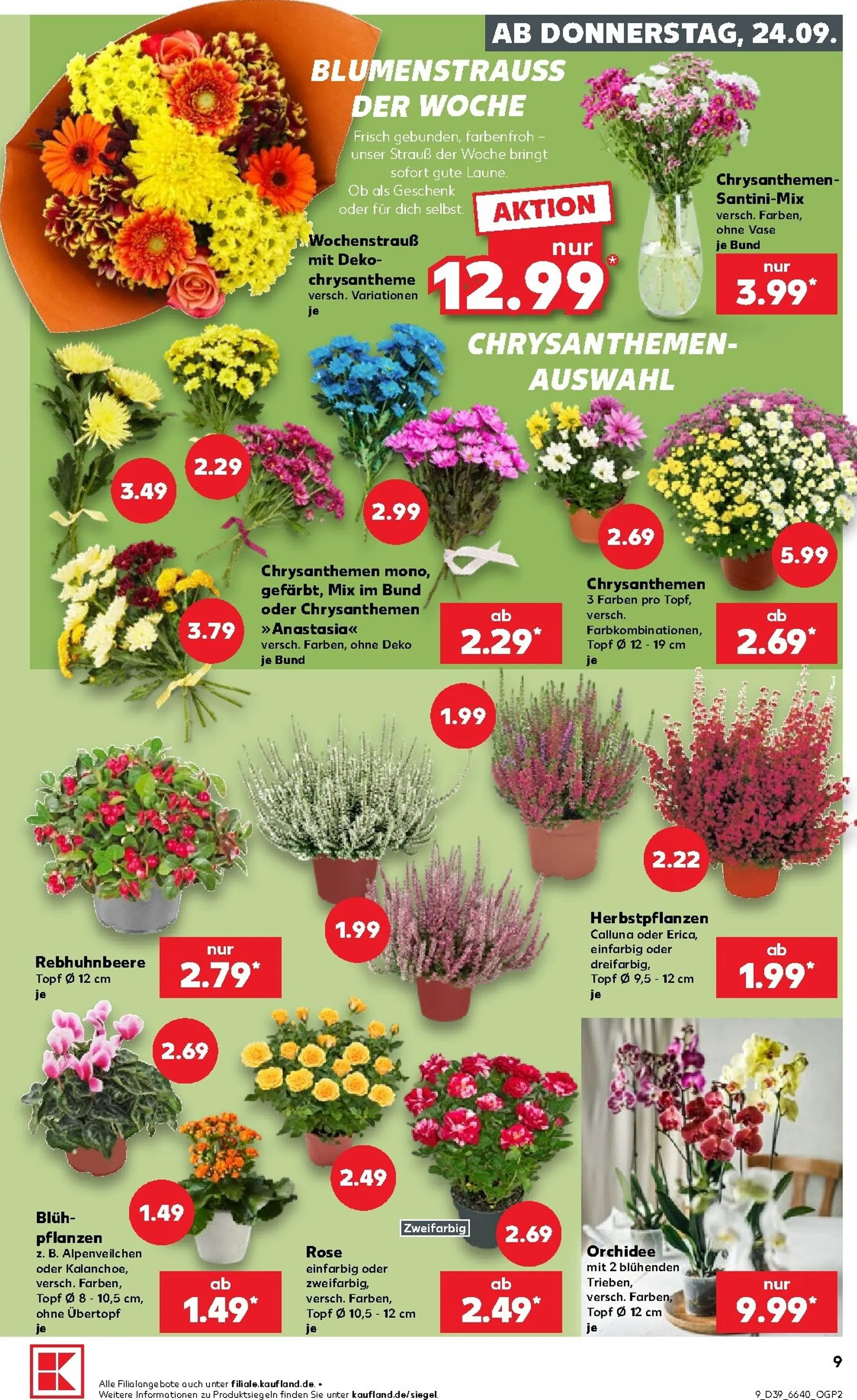 Kaufland Prospekt nächste Woche – von Donnerstag 24.09.2026 bis Mittwoch 30.09.2026 von 24. September bis 30. September 2026 - Prospekt seite 10