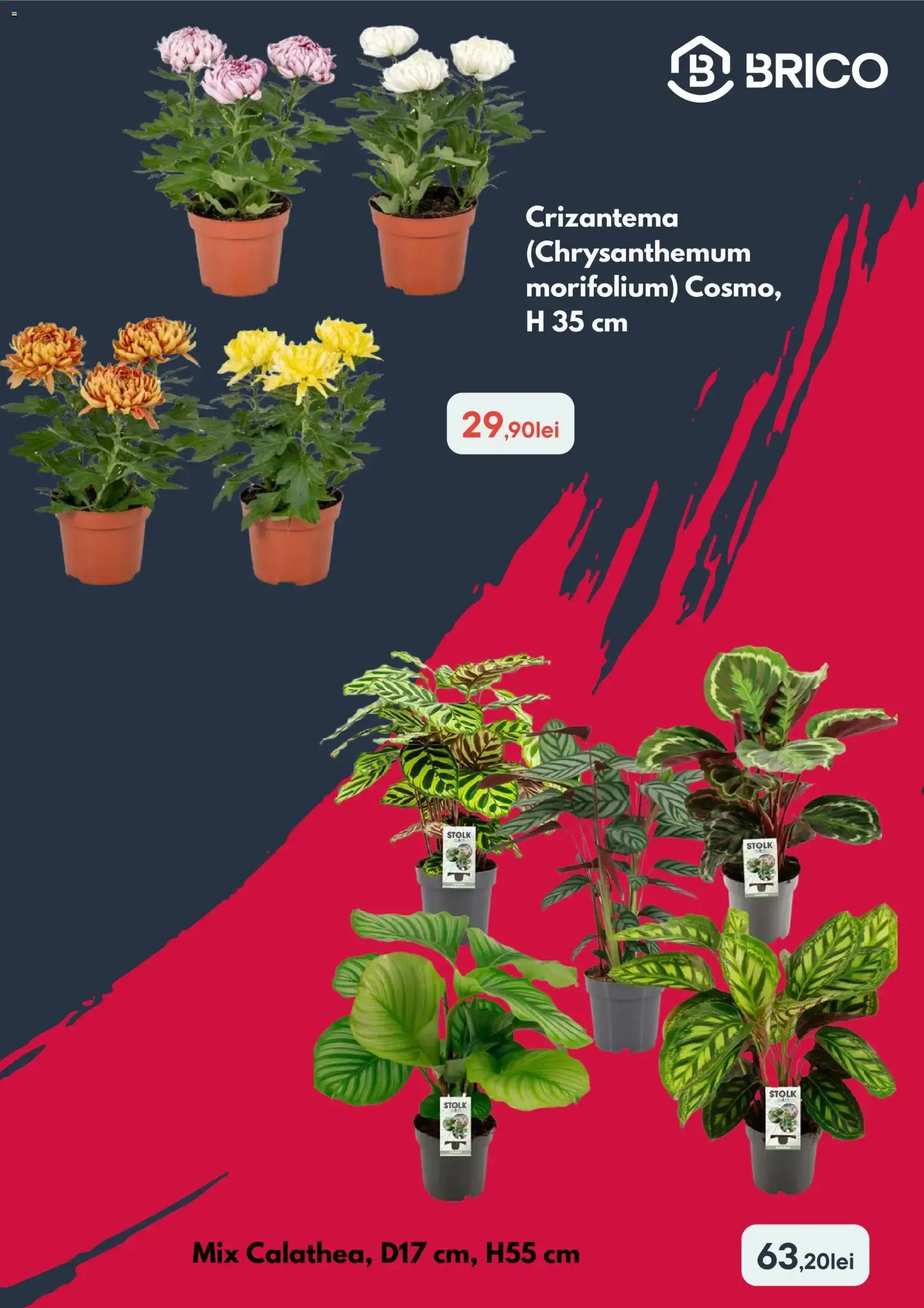 Catalog Brico Depot Catalog - Oferta 15.10.2026 - 28.10.2026 de la 15 octombrie până la 28 octombrie 2026 - Revista Pagina 3