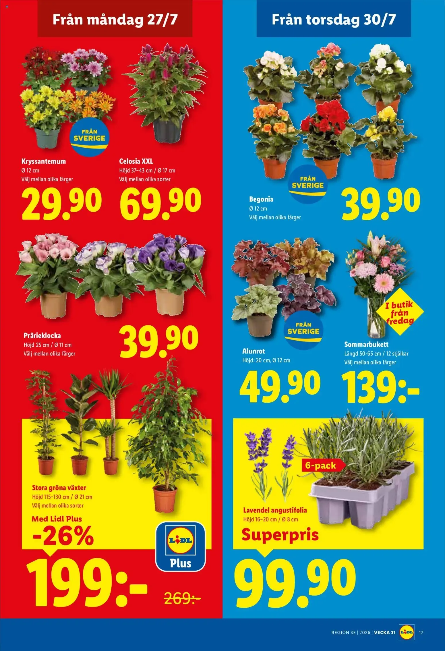 Lidl erbjudanden från 27/07/2026 - 02/08/2026 > Reklamblad nuvarande rabatter från 27 juli till 2 augusti 2026 - Reklamblad sidor 19