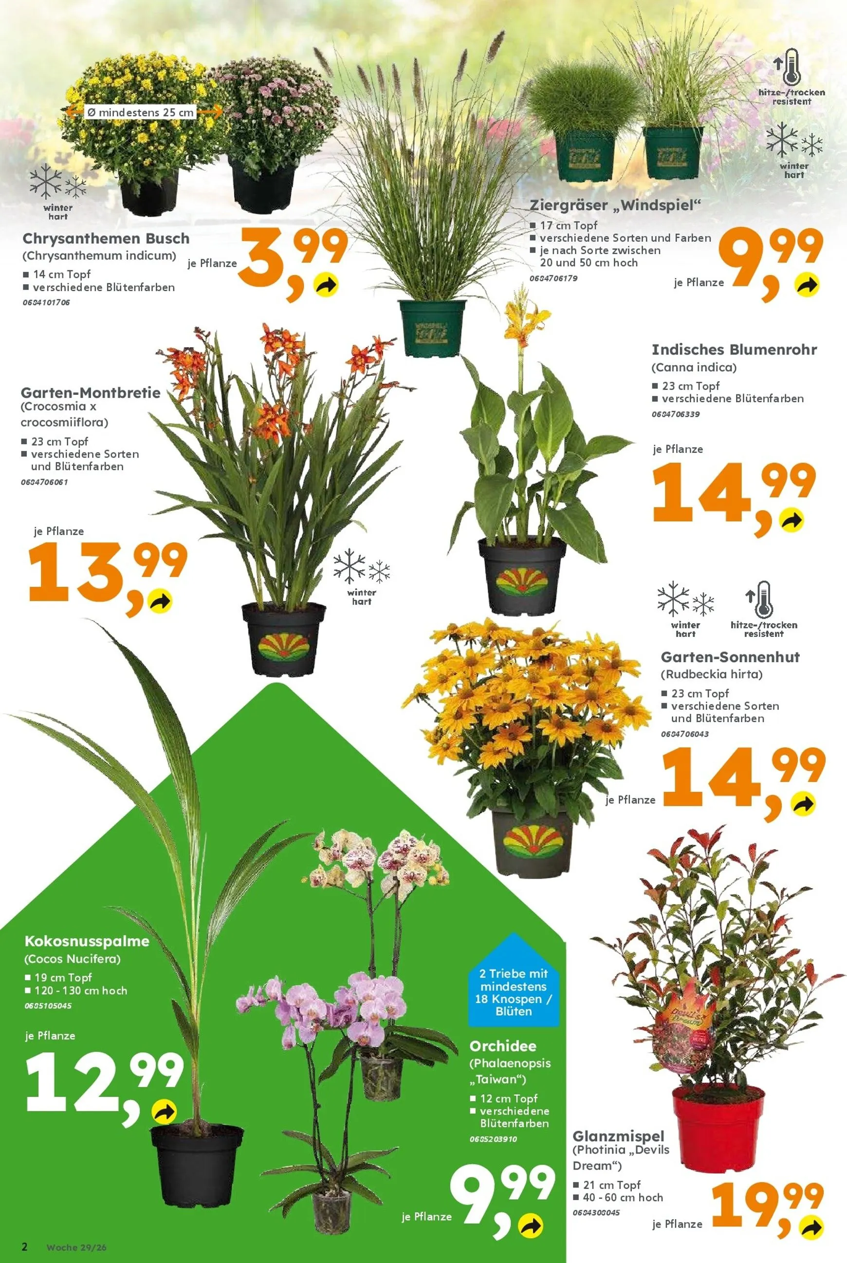 Globus Baumarkt Prospekt – von Sonntag 12.07.2026 bis Samstag 18.07.2026 von 13. Juli bis 18. Juli 2026 - Prospekt seite 2