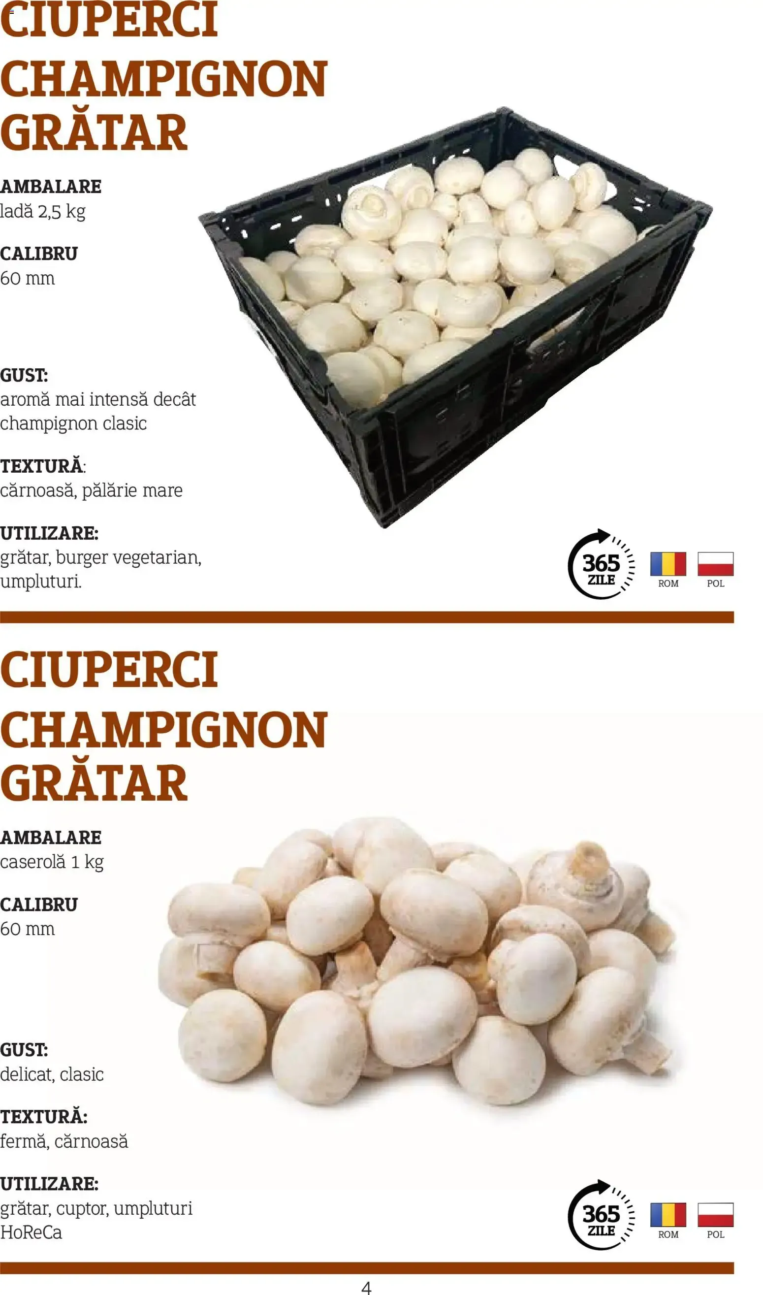Catalog Metro catalog - Varietăți de Ciuperci - Oferta 10.11.2025 - 31.12.2026 de la 10 noiembrie până la 31 decembrie 2026 - Revista Pagina 4