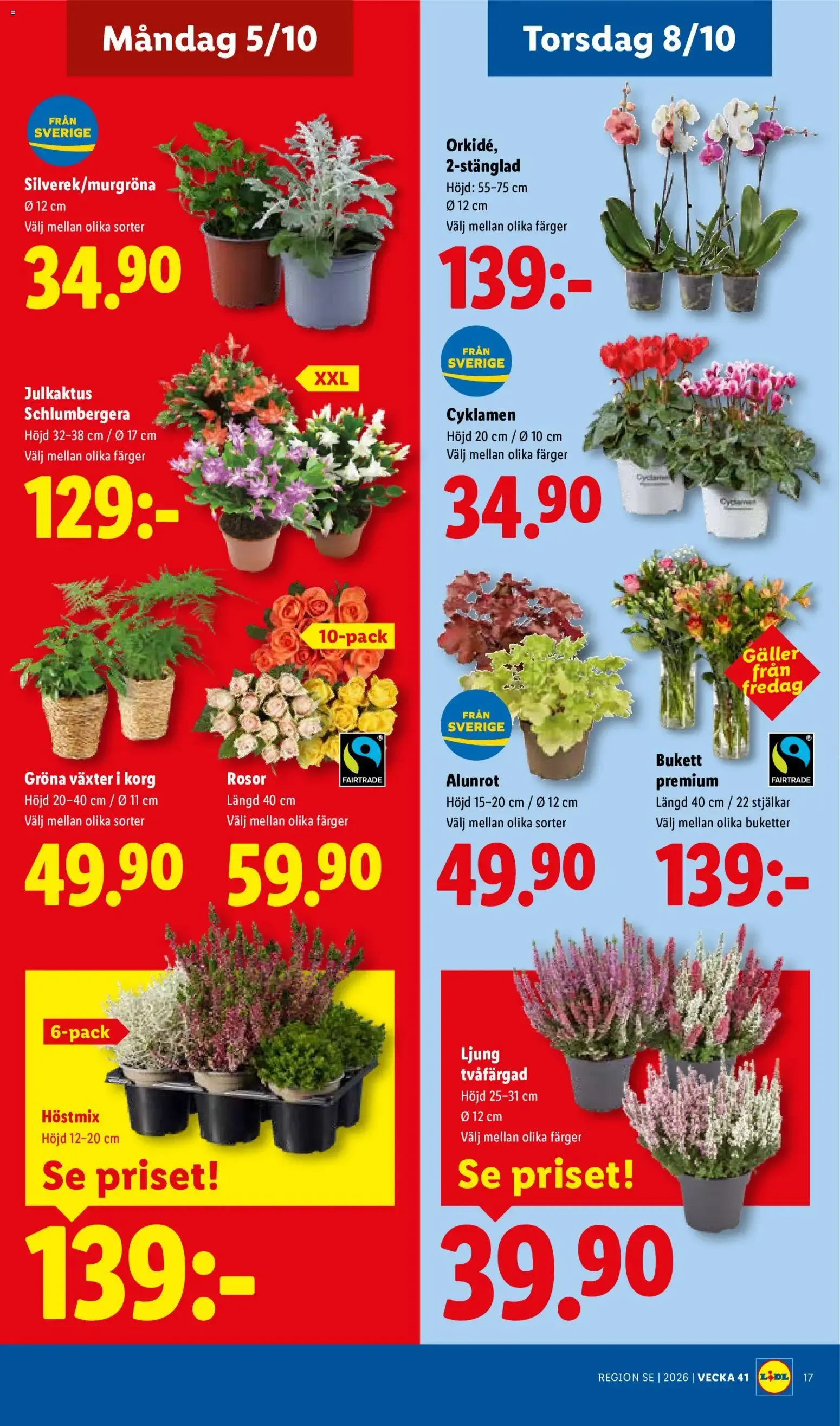 Lidl erbjudanden från 05/10/2026 - 11/10/2026 > Reklamblad nuvarande rabatter från 5 oktober till 11 oktober 2026 - Reklamblad sidor 22