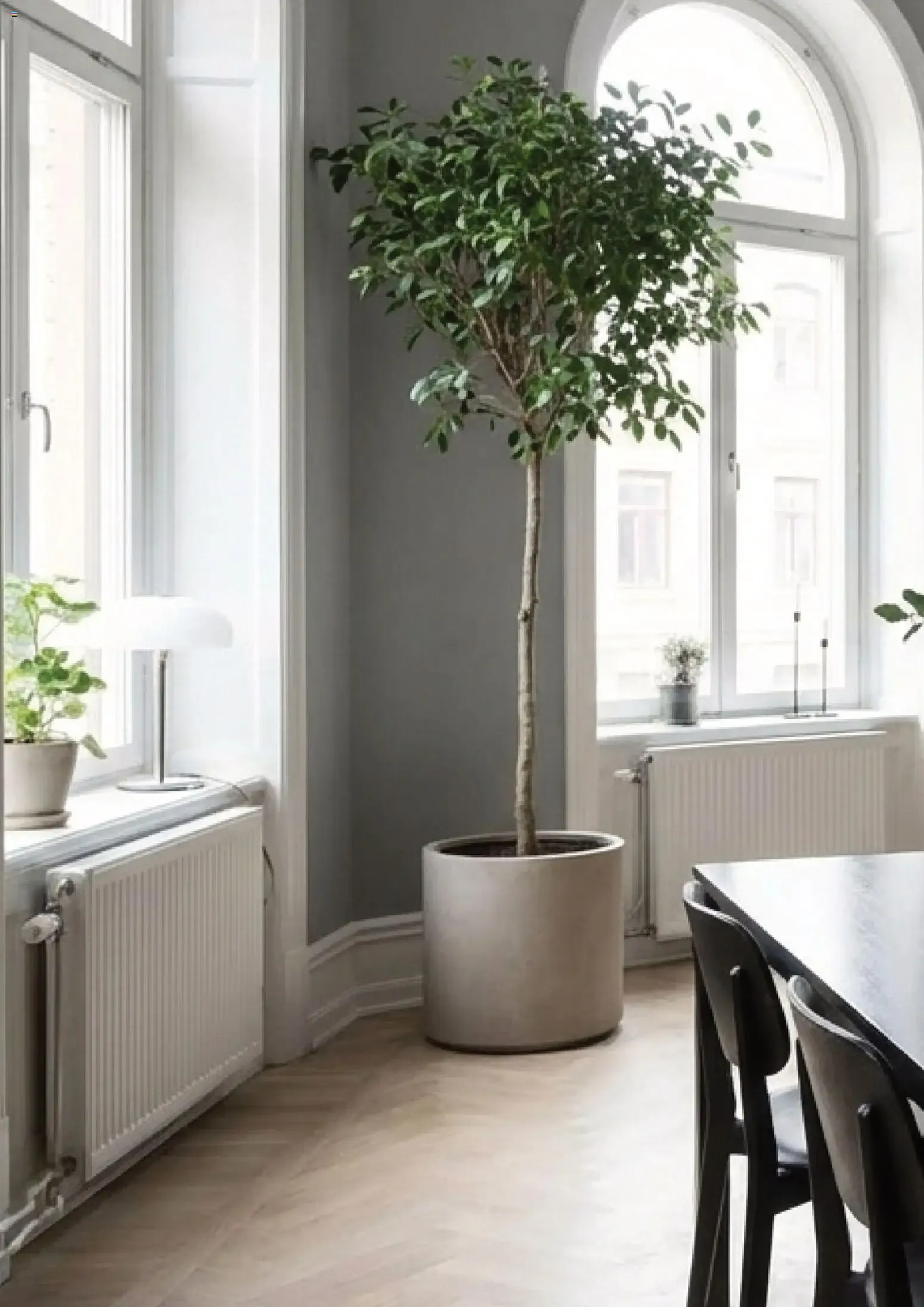 Et hjem med levende rom - En inspirasjonsguide fra Plantasjen fra 8. januar til 17. juni 2026 - kundeavisside 14
