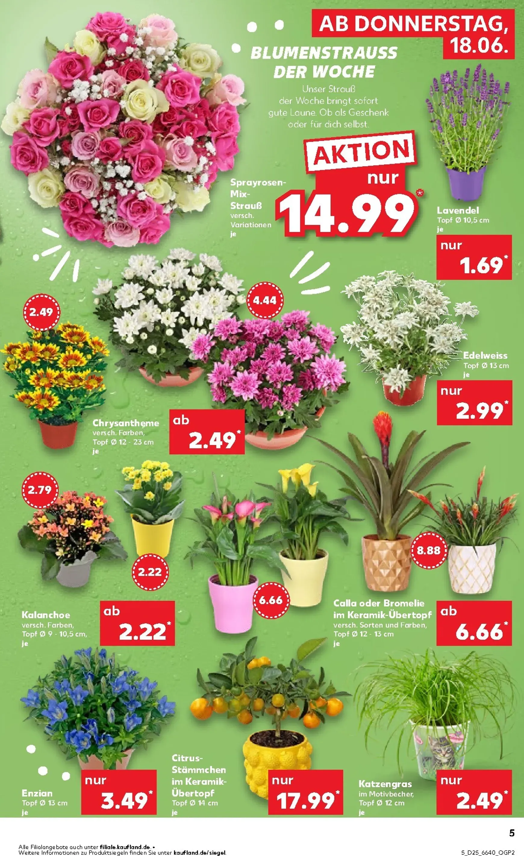 Kaufland Prospekt – von Donnerstag 18.06.2026 bis Mittwoch 24.06.2026 von 18. Juni bis 24. Juni 2026 - Prospekt seite 6