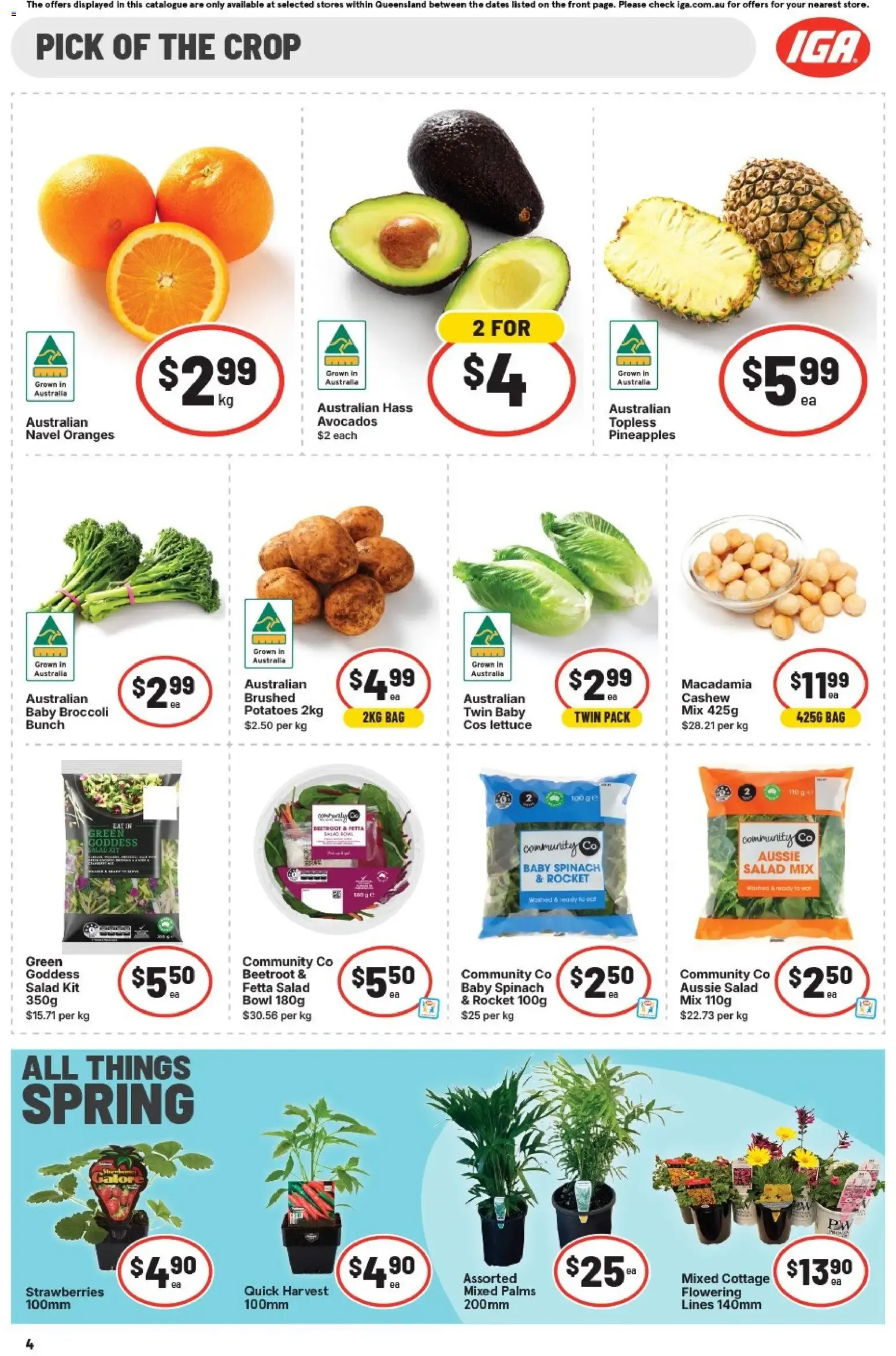 IGA catalogue valid from 02/09/2026 > Online Australia - Catalogue valid from 2 September to 8 September 2026 - page 5