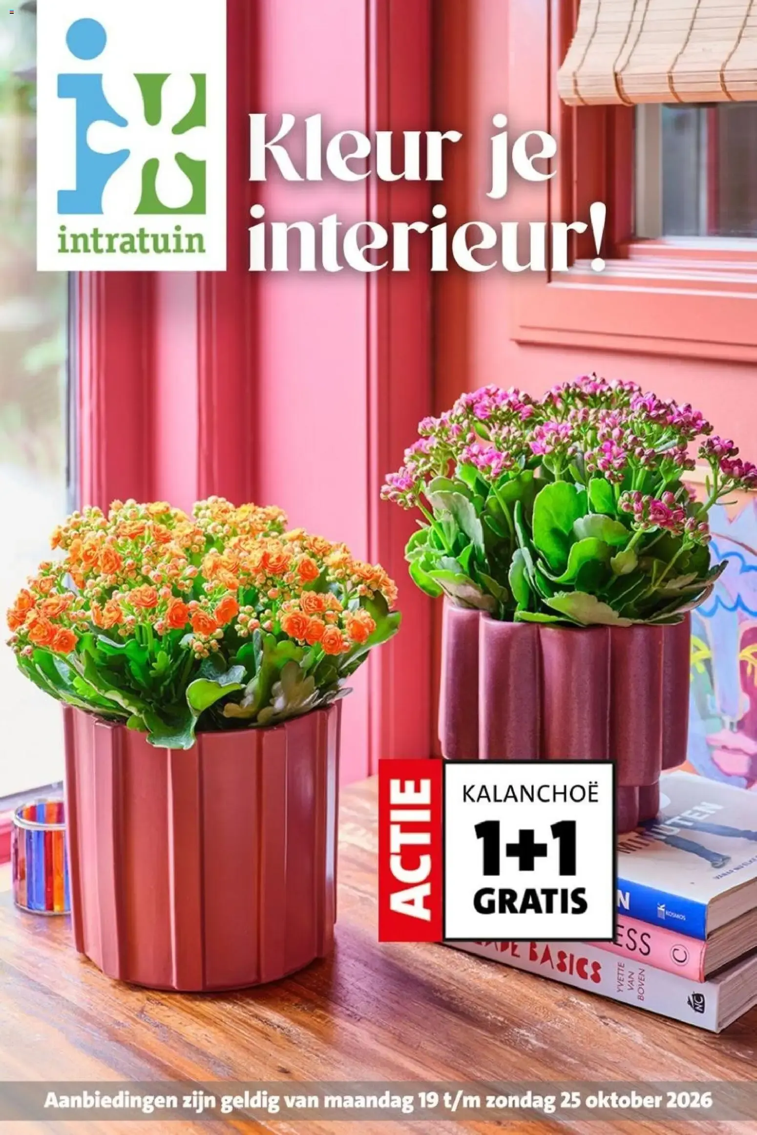 Intratuin - Kleur je interieur!