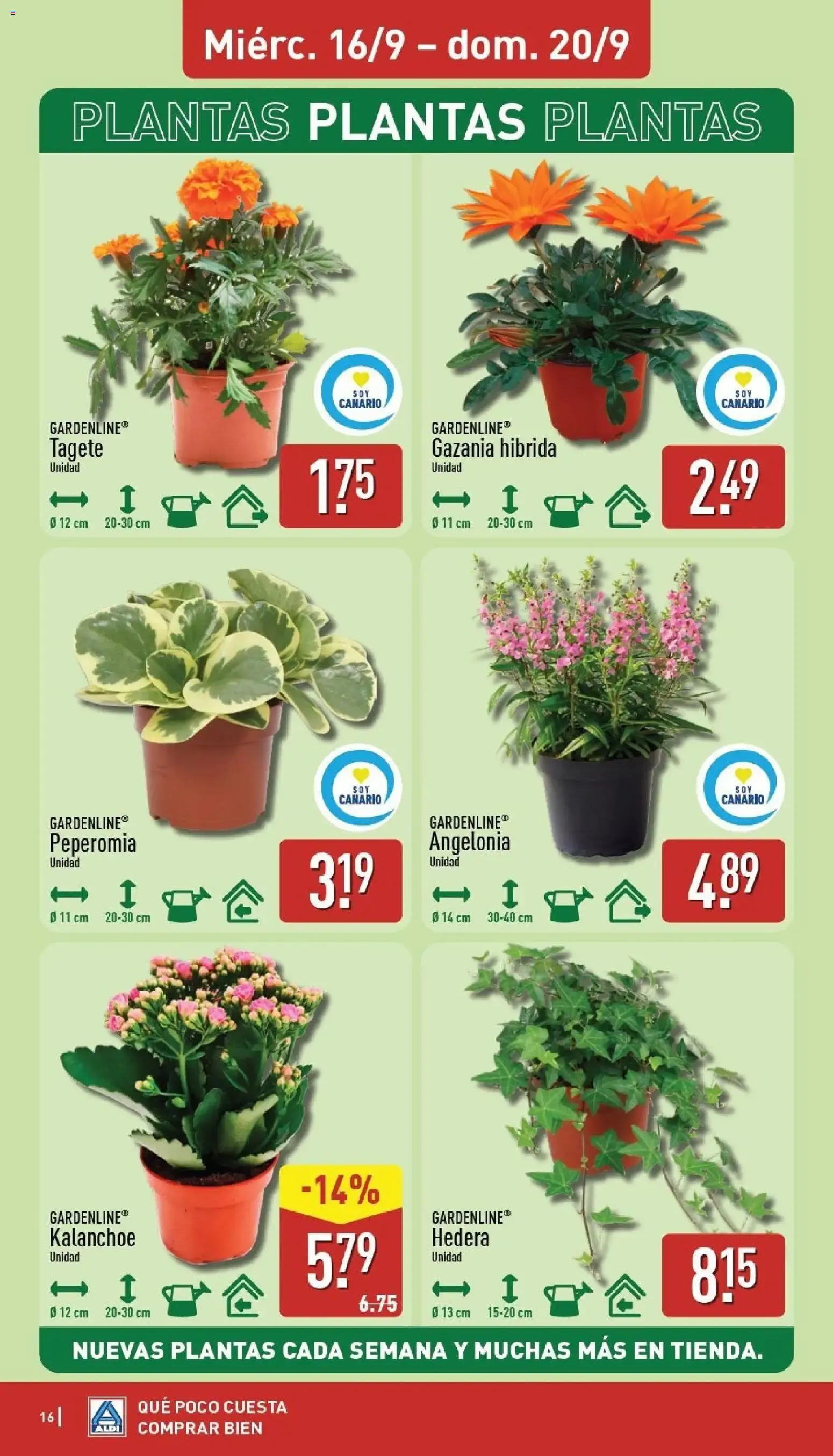 Catálogo de Aldi folleto del 14/09/2026 al 20/09/2026 14 de septiembre al 20 de septiembre 2026 - Página 16