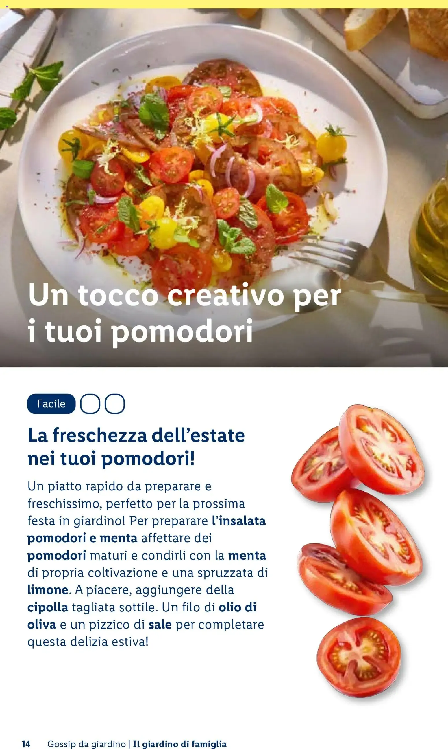 Vivi il tuo giardino - Rivista per il giardinaggio Primavera 2026 da 23 aprile a 1 luglio di 2026 - Pagina del volantino 14