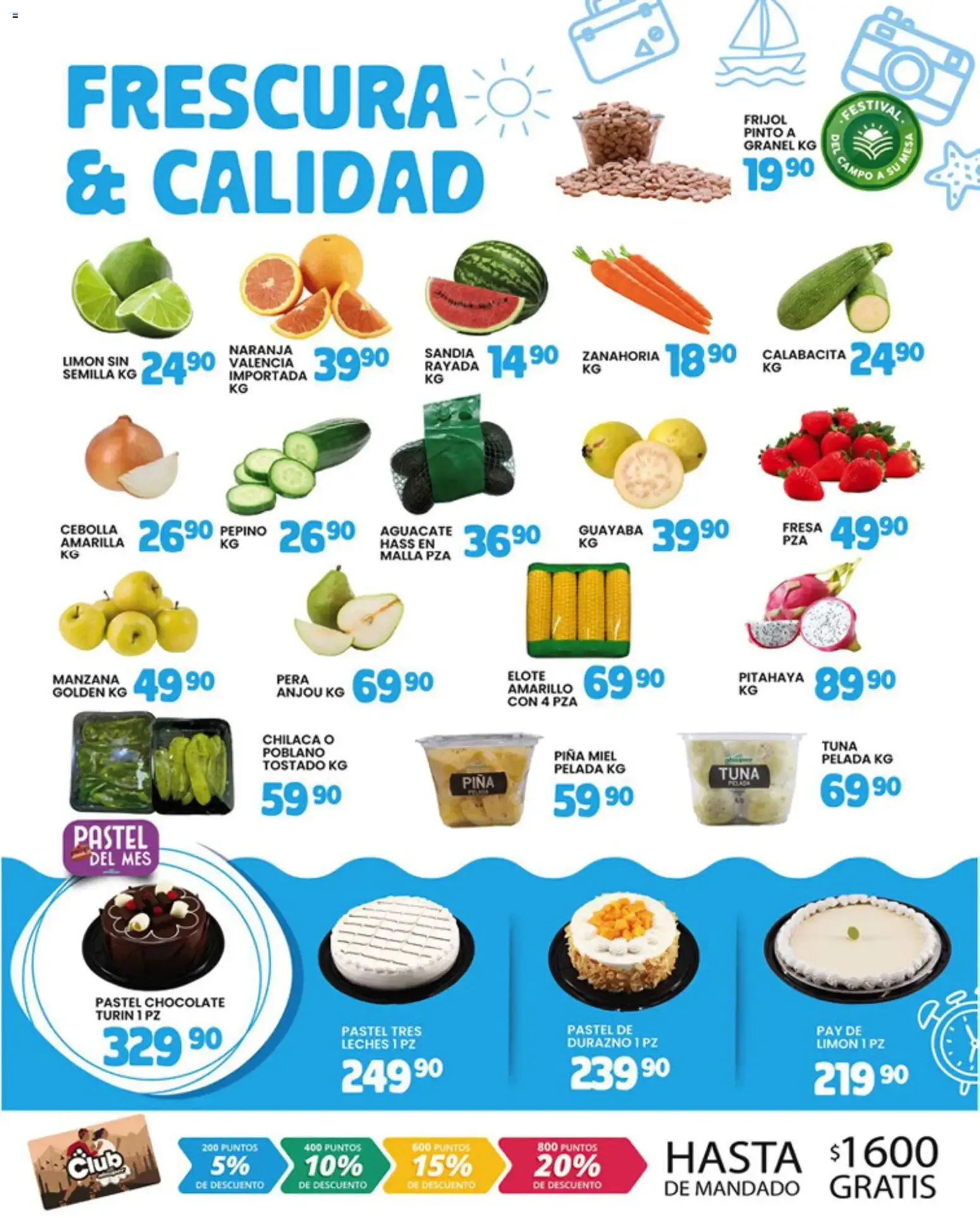 Catálogo de MODO VACACIONES MODO ESCUELA 4 de agosto al 6 de agosto 2026 - Pagina 2